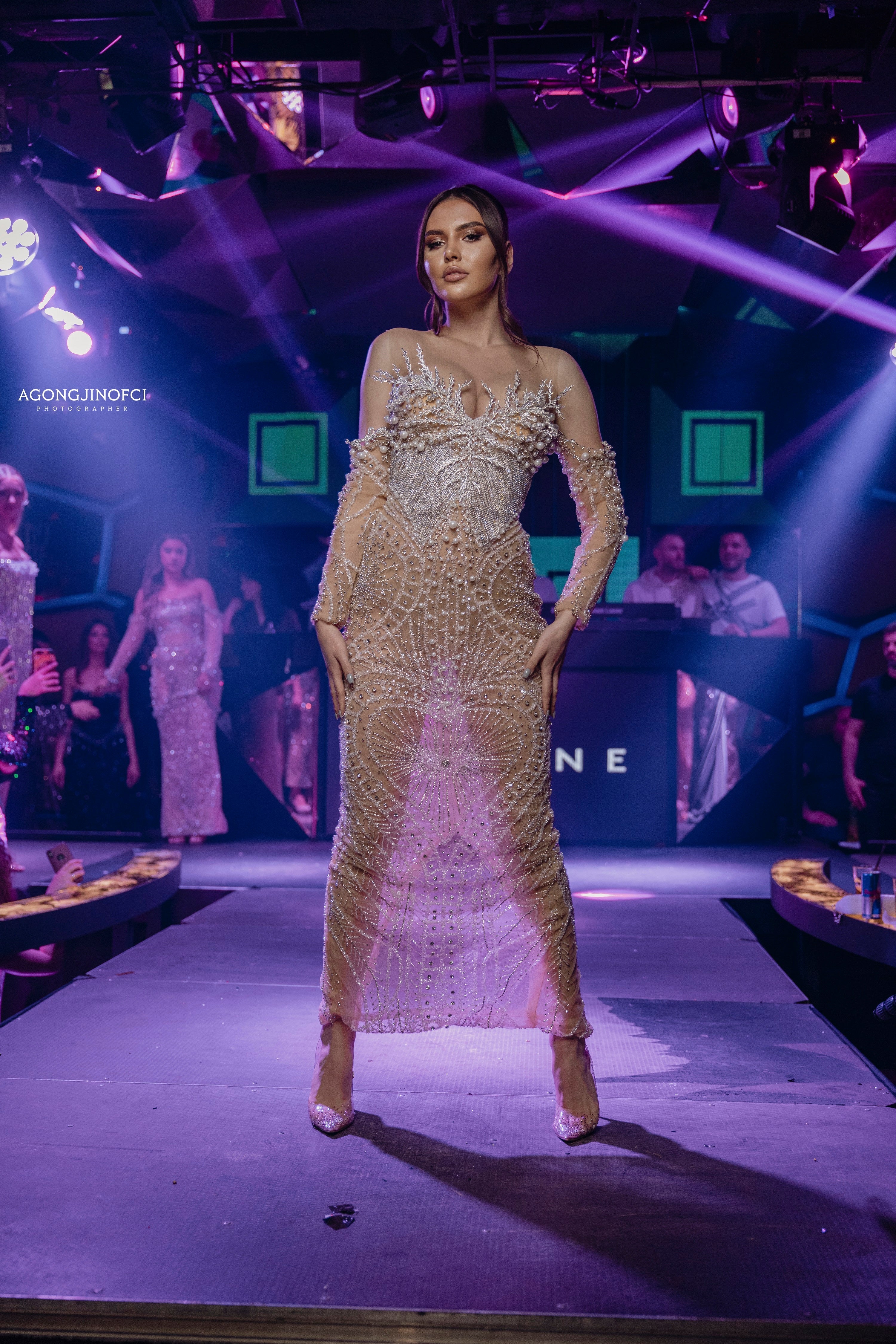 sheer embellished dress Strapless Sheer Embellished Dress – Walone LLC