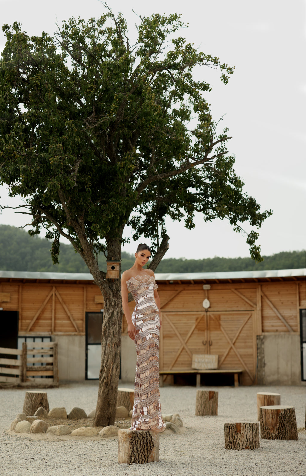 Medea - Crystal Bateau Gown