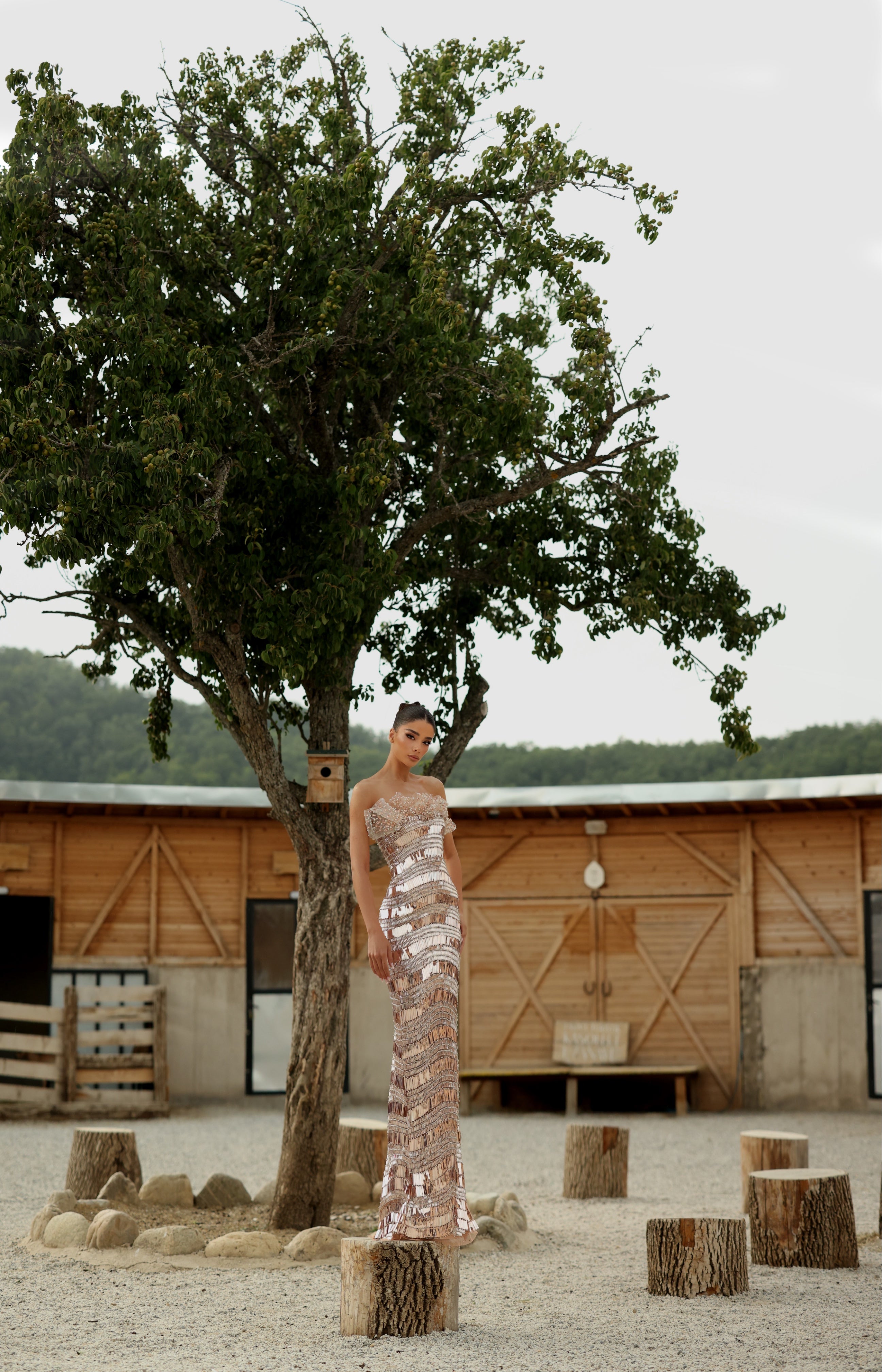 Medea - Crystal Bateau Gown