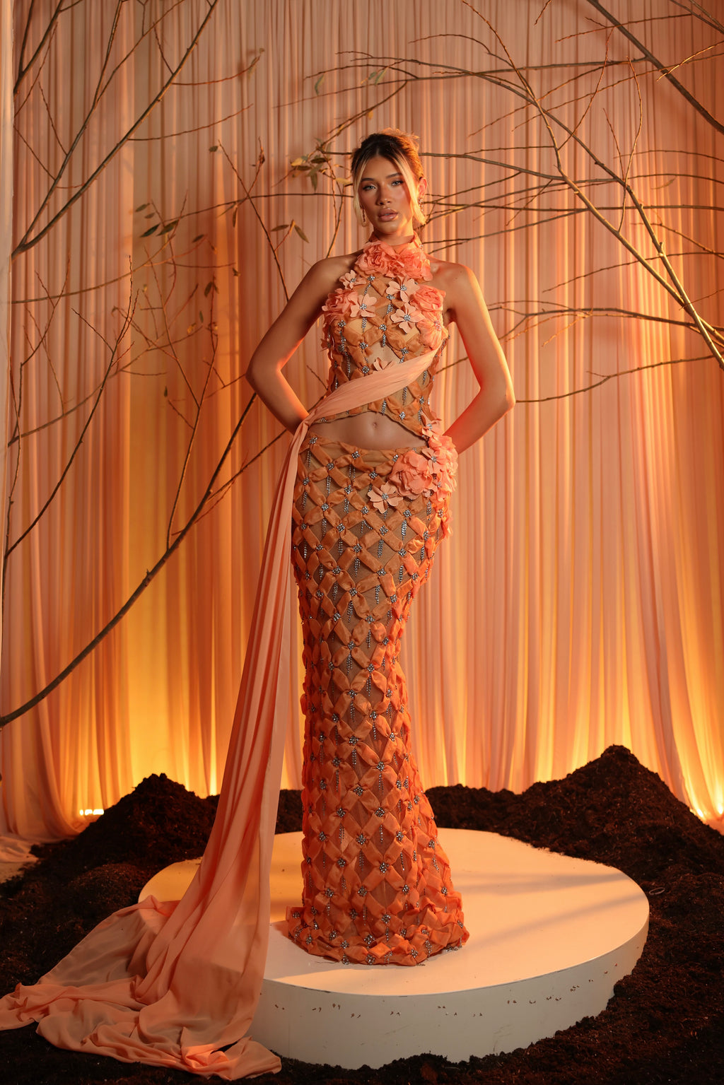 Elanora - 3D Floral Lattice Gown with Draped Waist & Train