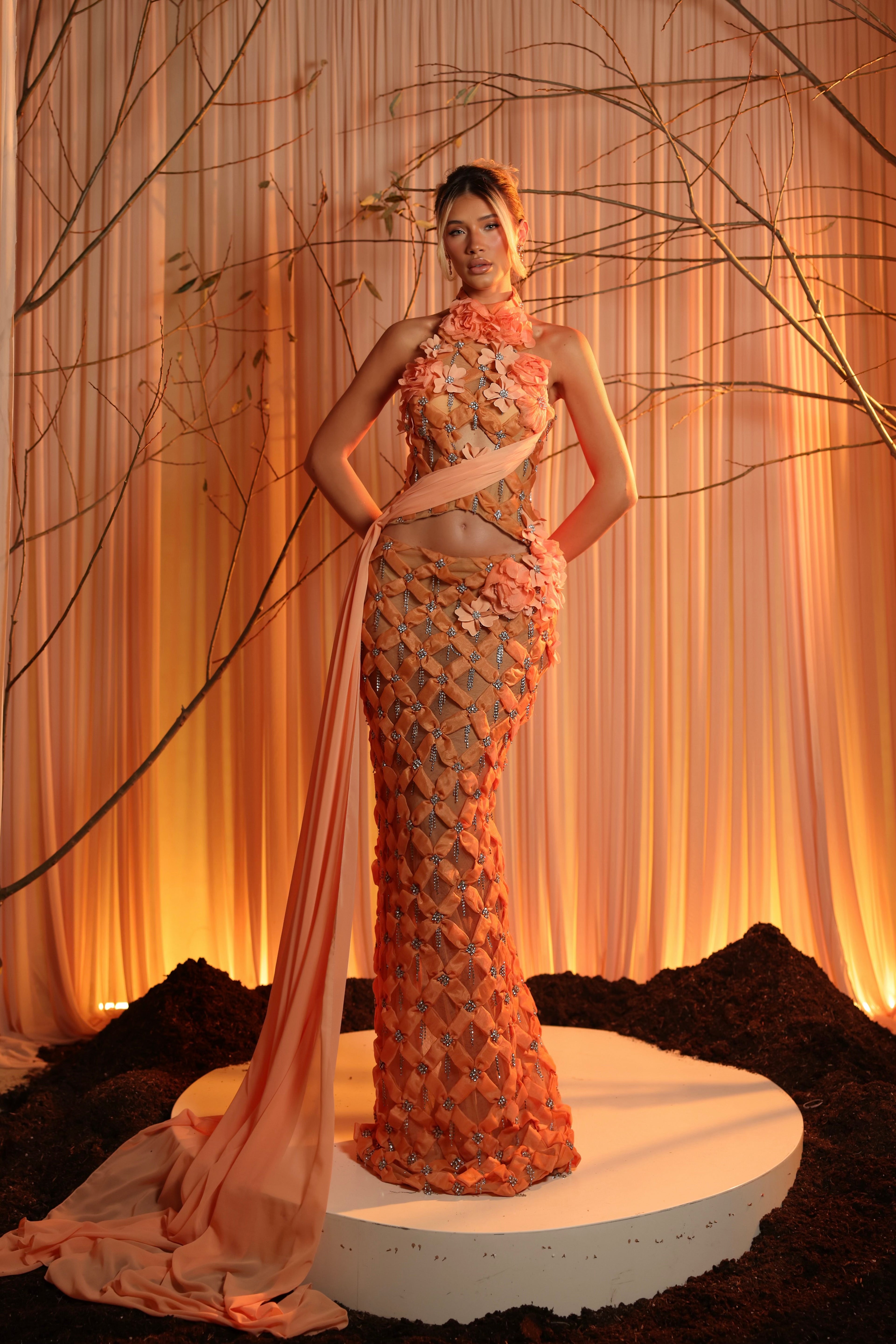 Elanora - 3D Floral Lattice Gown with Draped Waist & Train