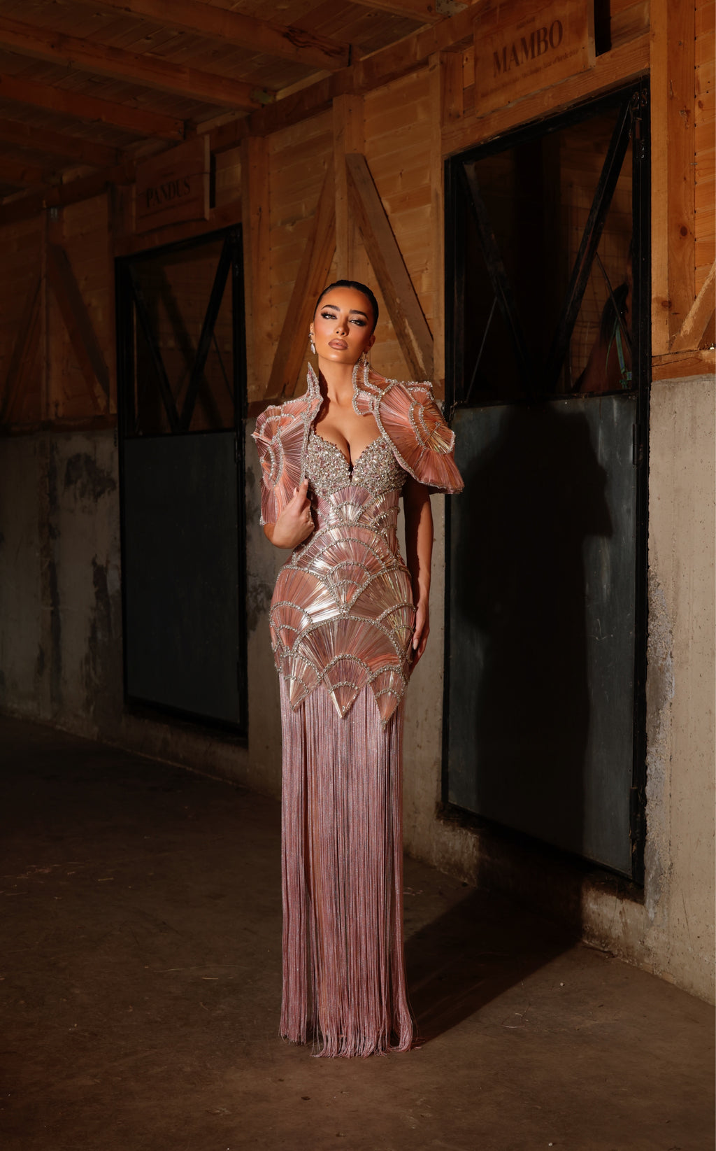 Delvina - Crystal Fan Panel Gown