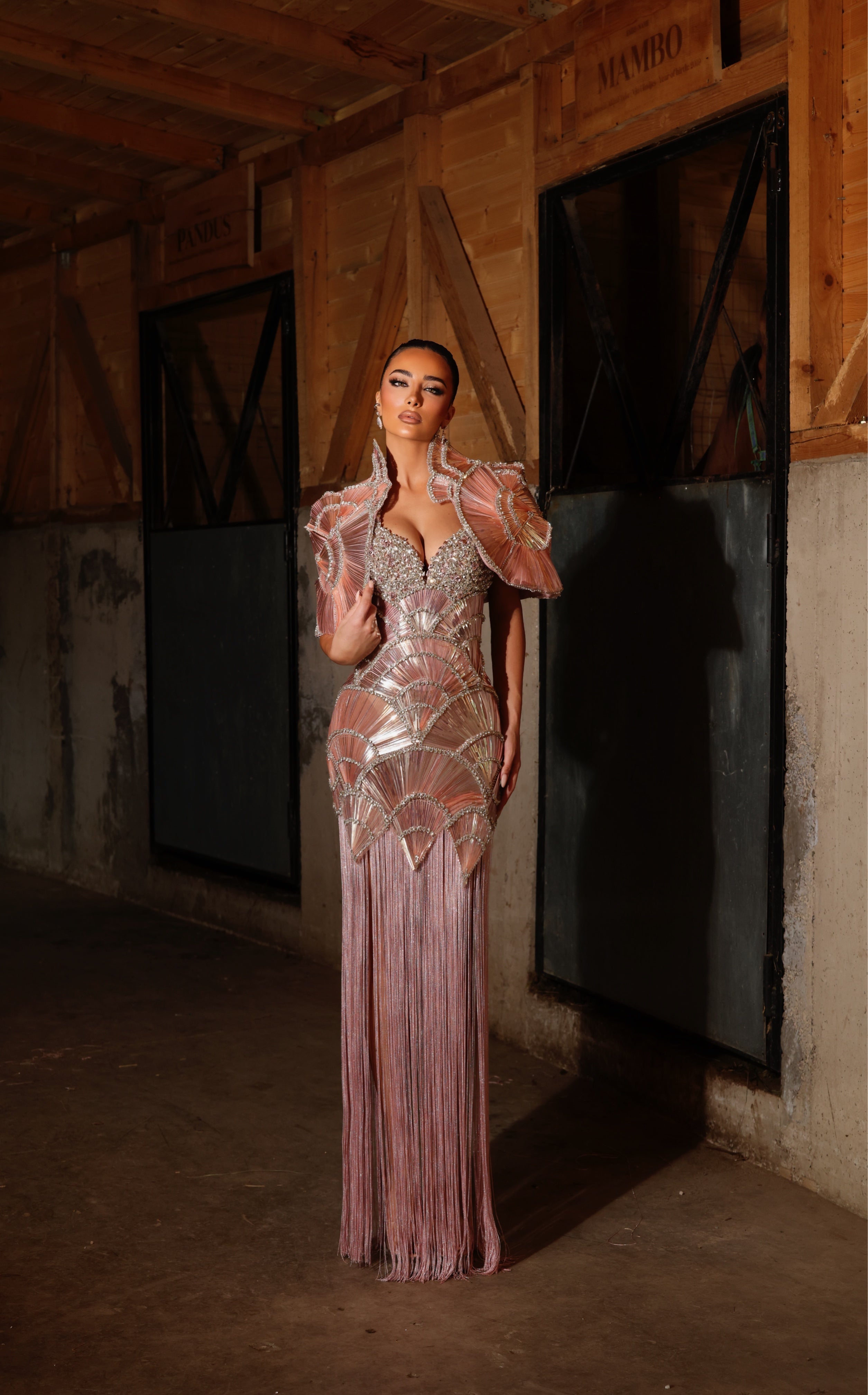 Delvina - Crystal Fan Panel Gown
