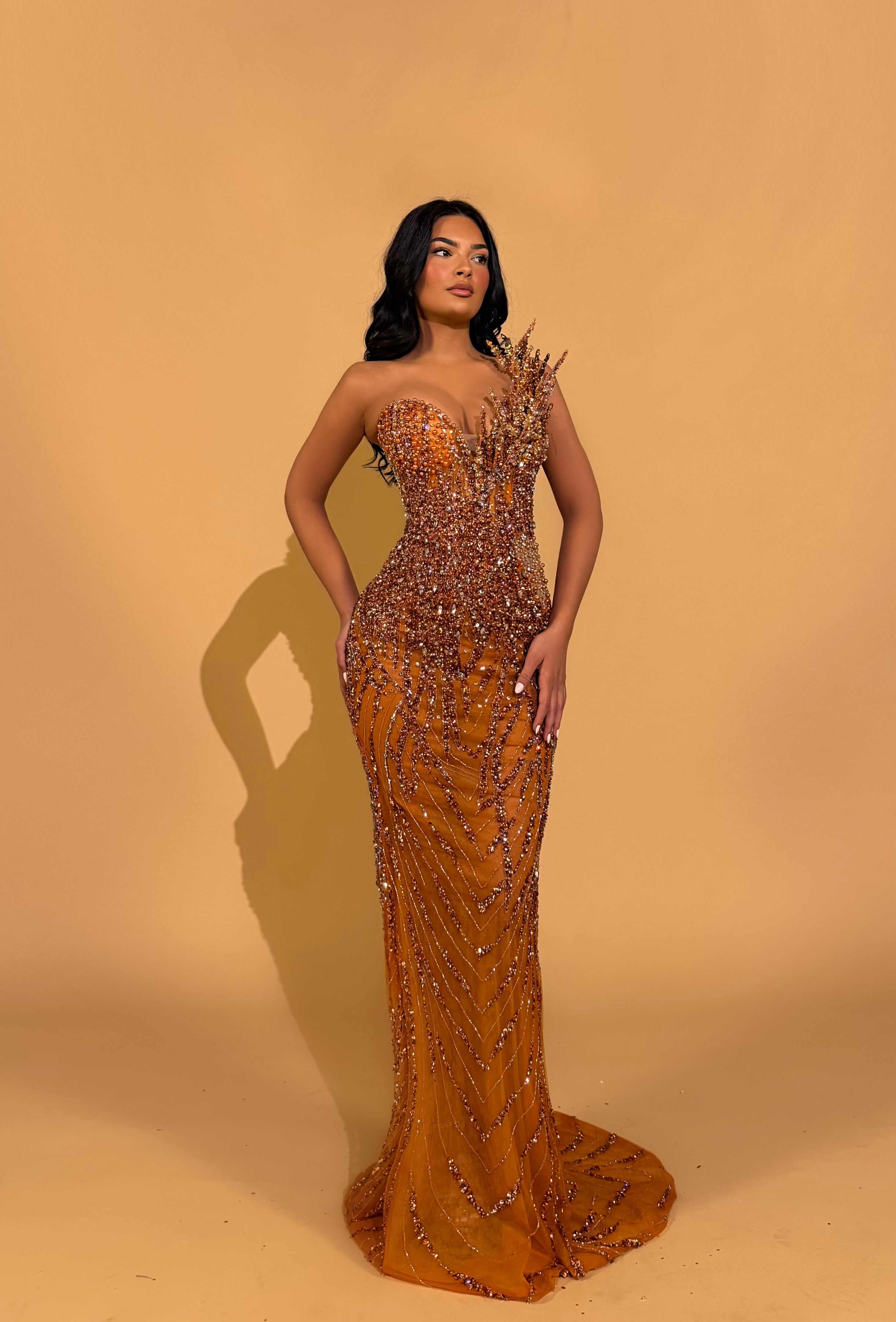 Amber Crystal Embellished Strapless Gown