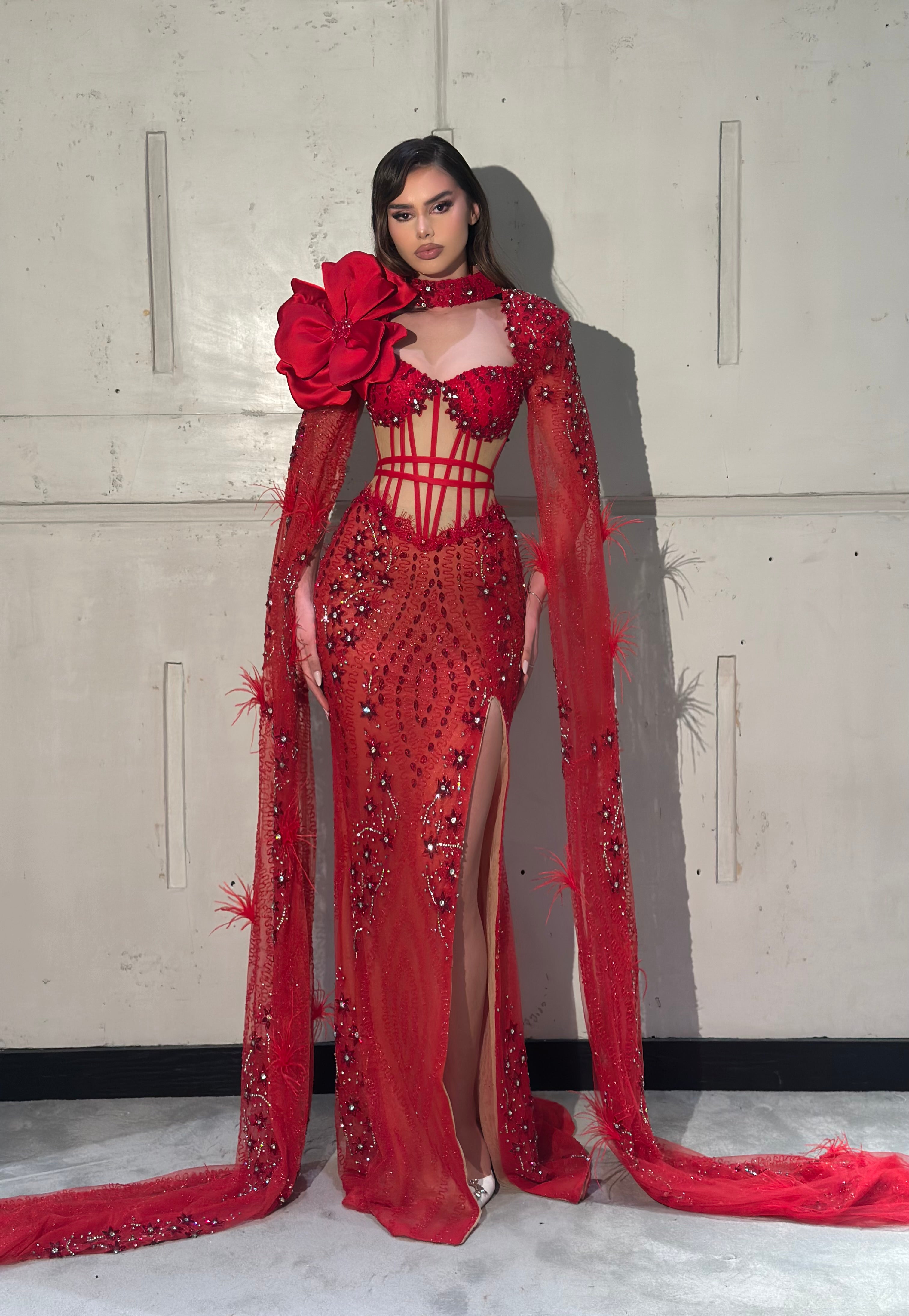 Ardella - Red Embellished Gown