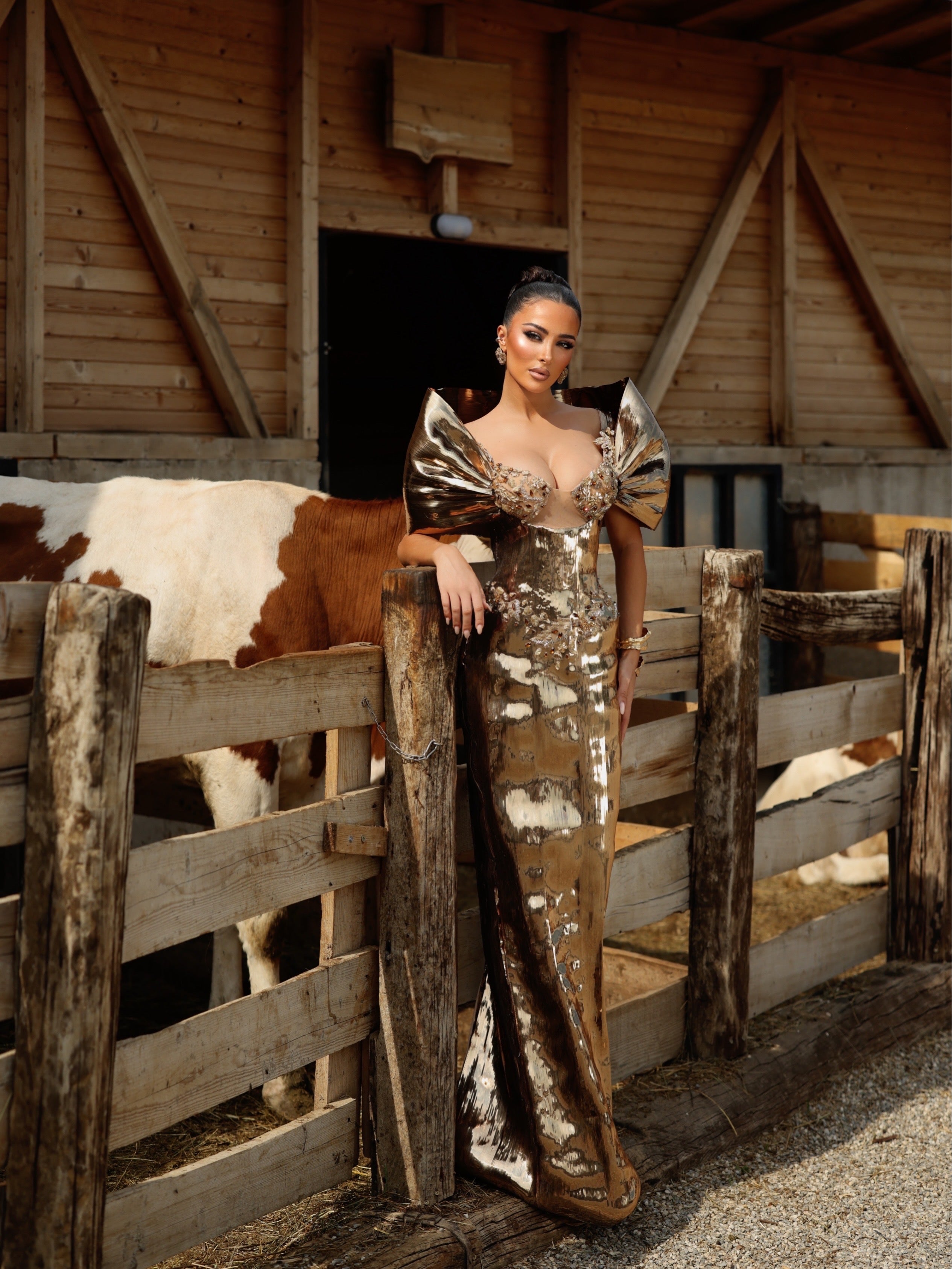 Daryna - Sculptural Mirror Corset Gown