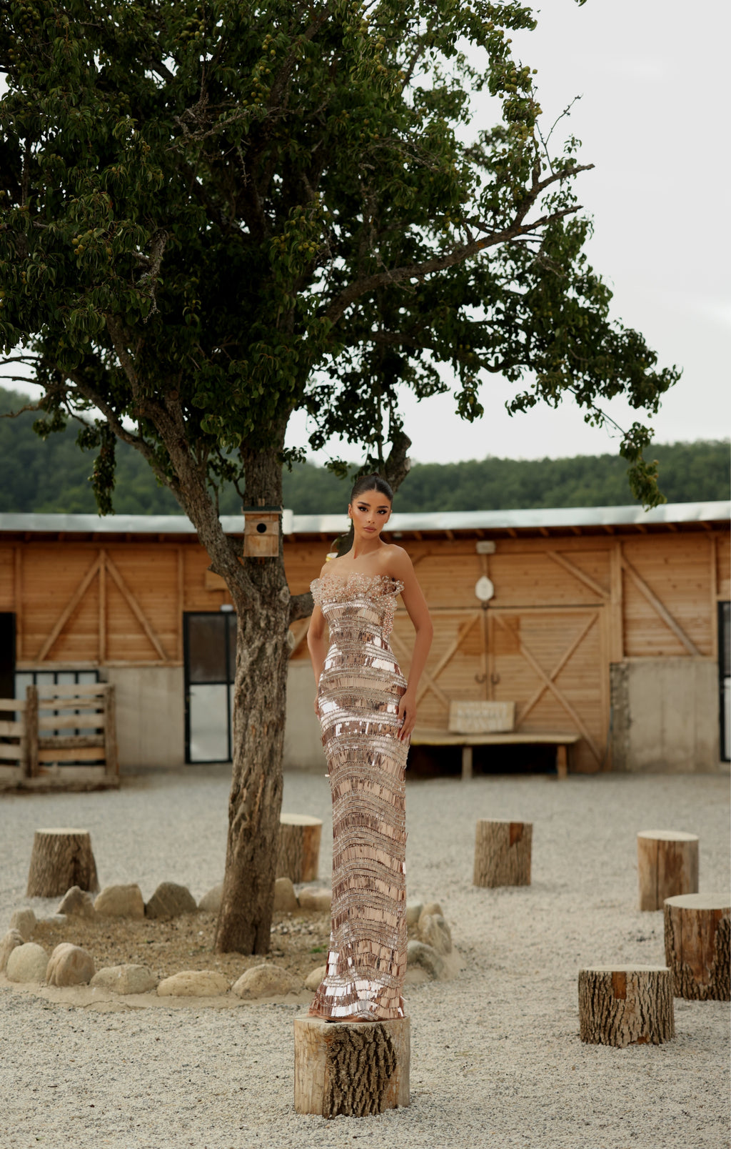 Medea - Crystal Bateau Gown