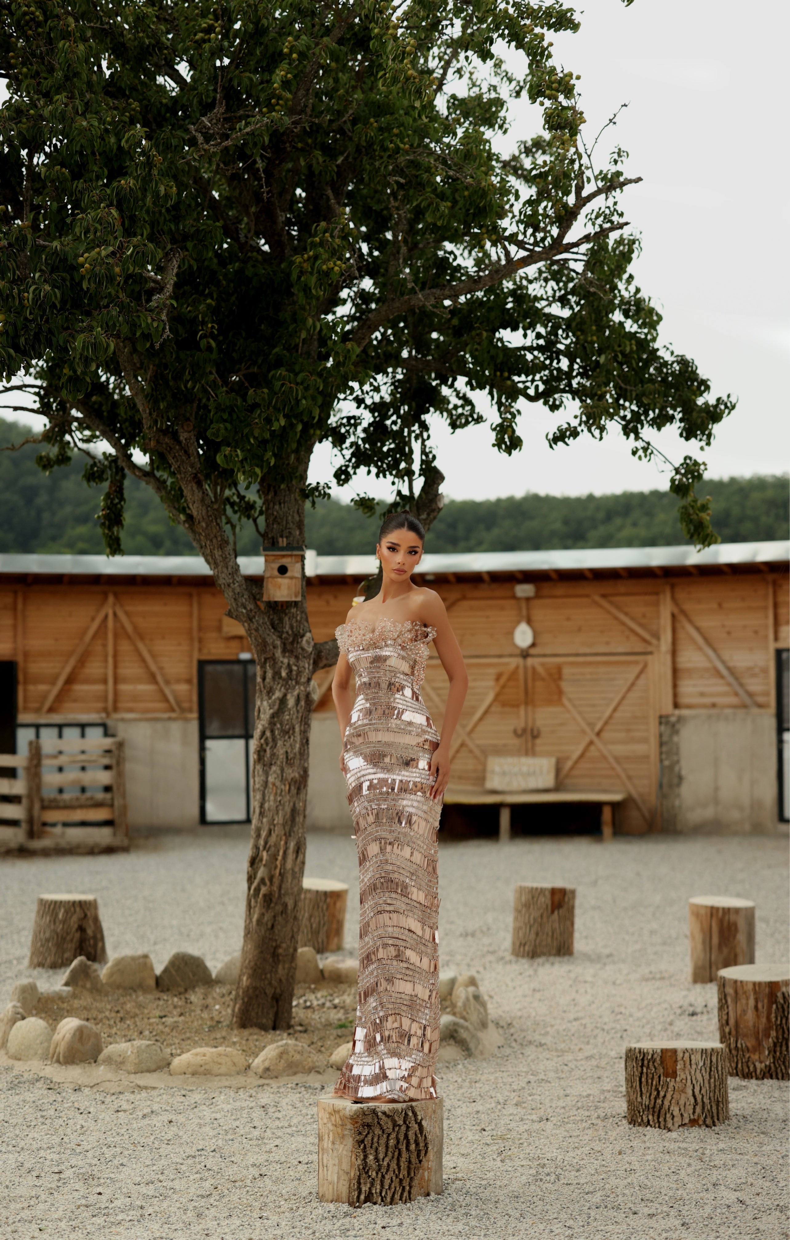 Medea - Crystal Bateau Gown