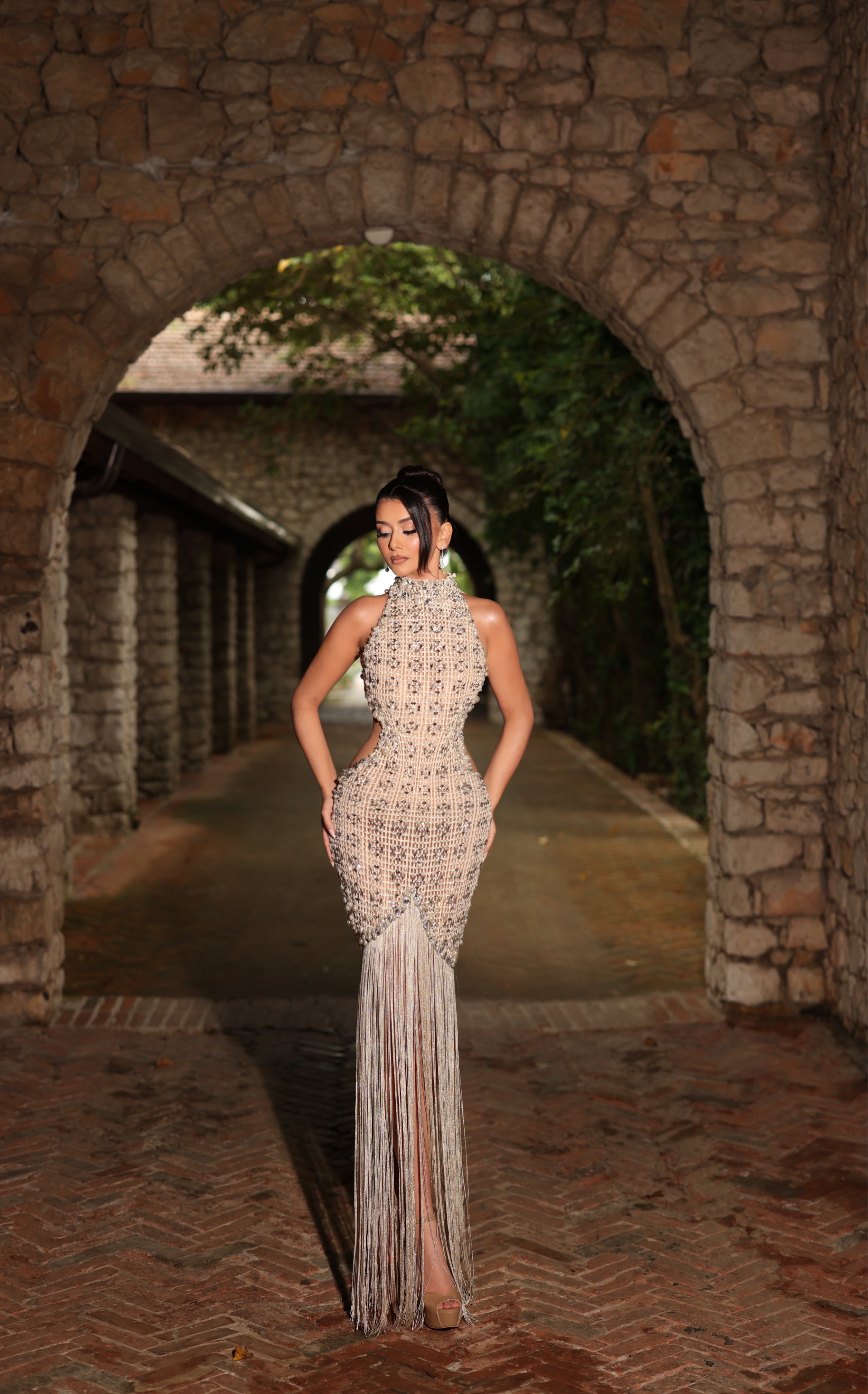 Armela - Crystal Fringe Backless Gown