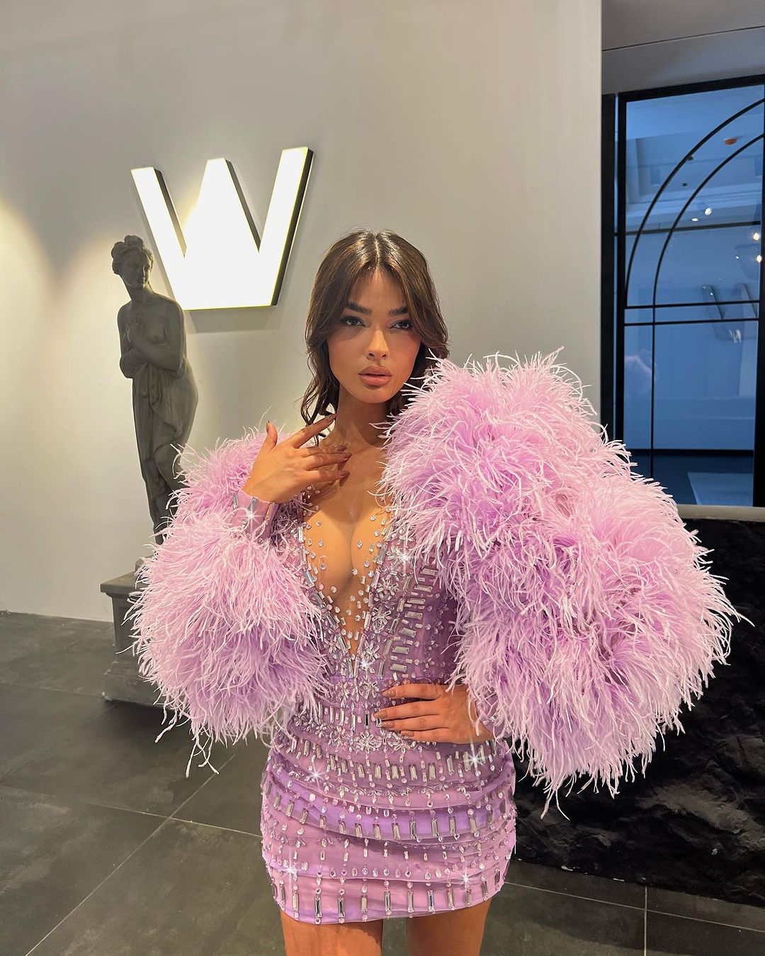 Short Lavender Embroidered Dress with Feathered Sleeves