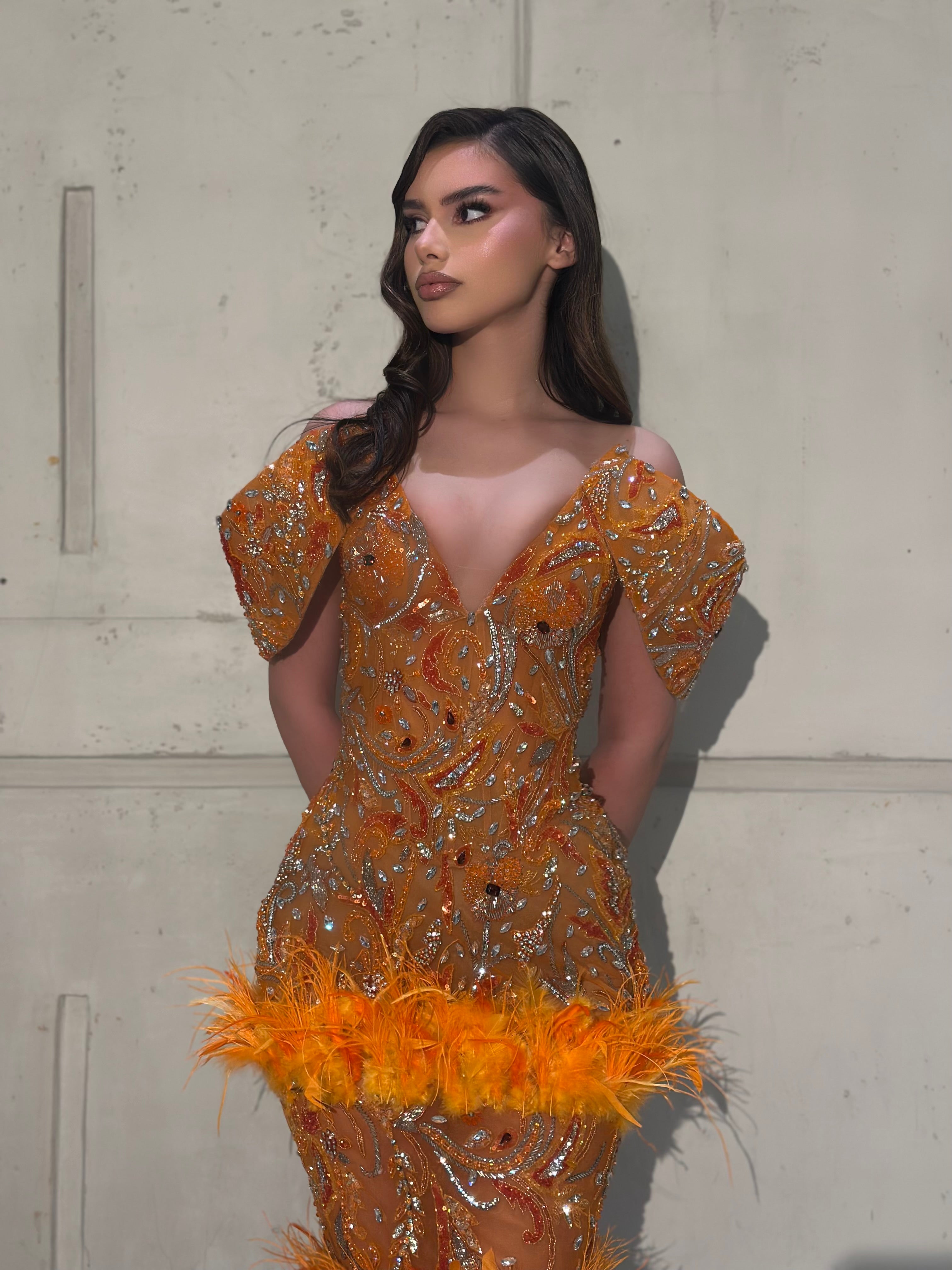 Caleya - Feather Crystal Embellished Gown