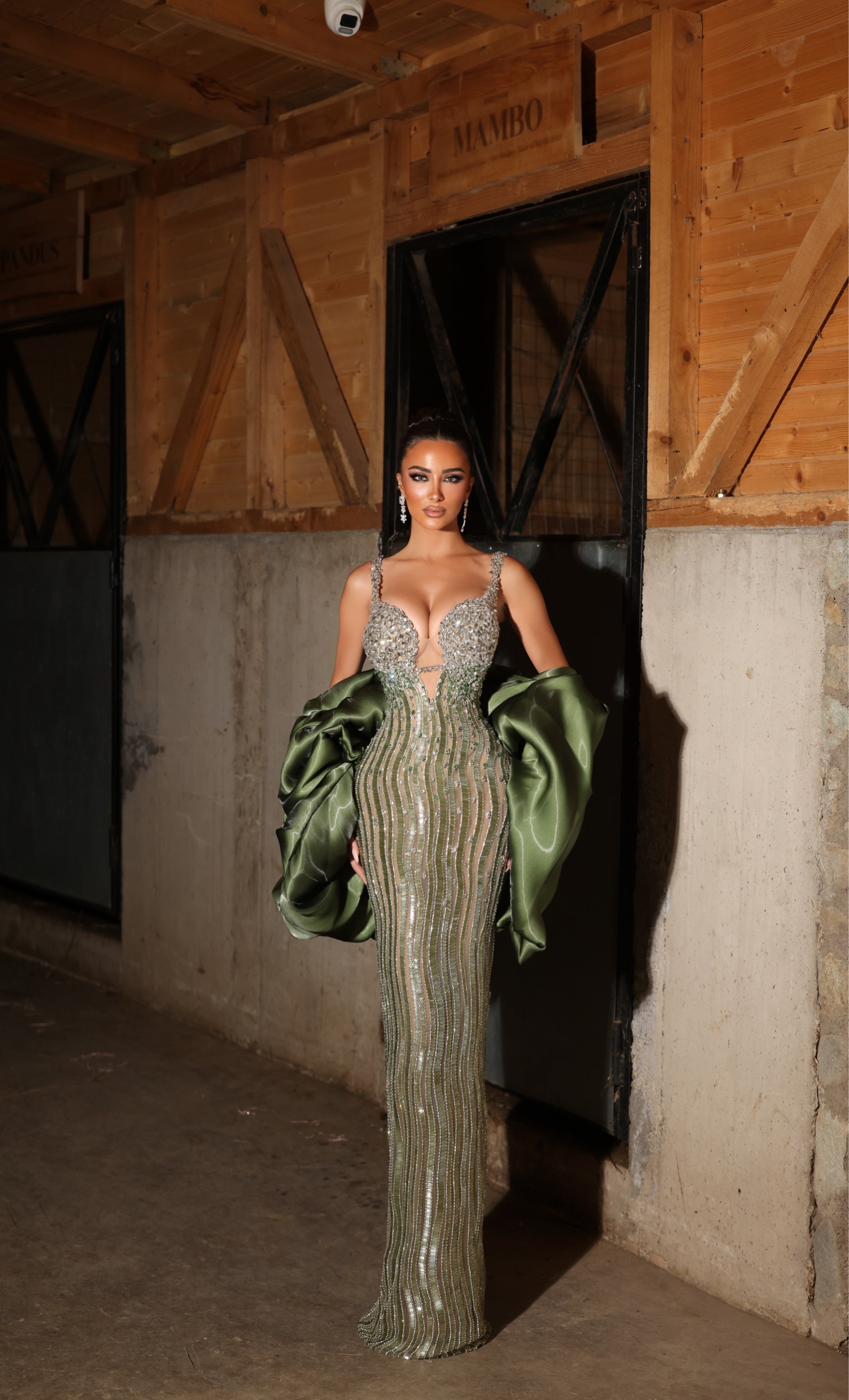Lorela - Sweetheart crystal gown