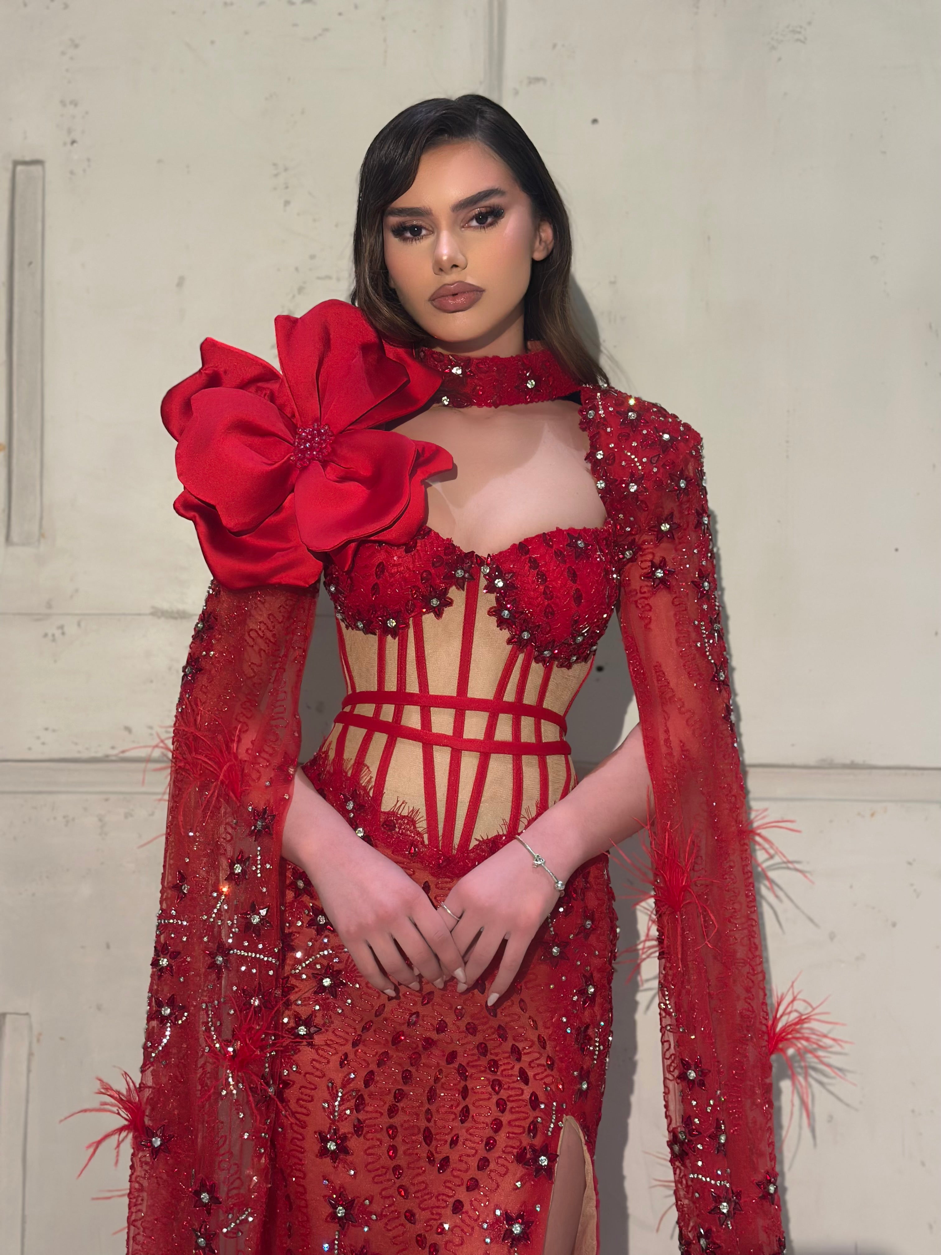 Ardella - Red Embellished Gown