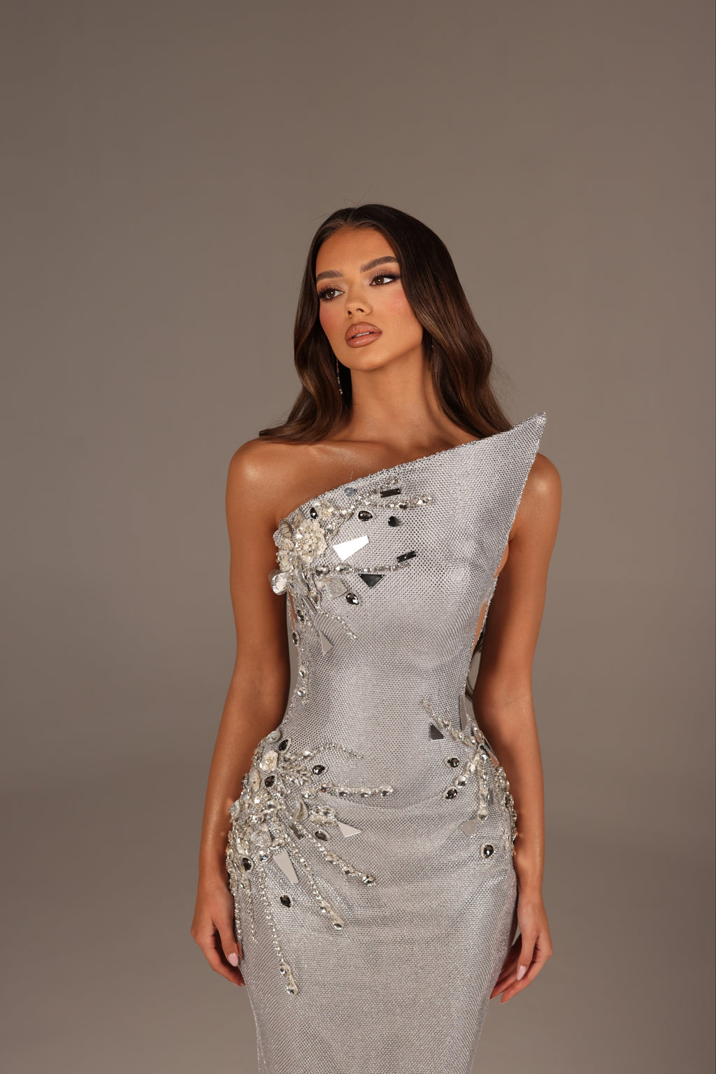Evalena - One Shoulder Crystal Embellished Gown