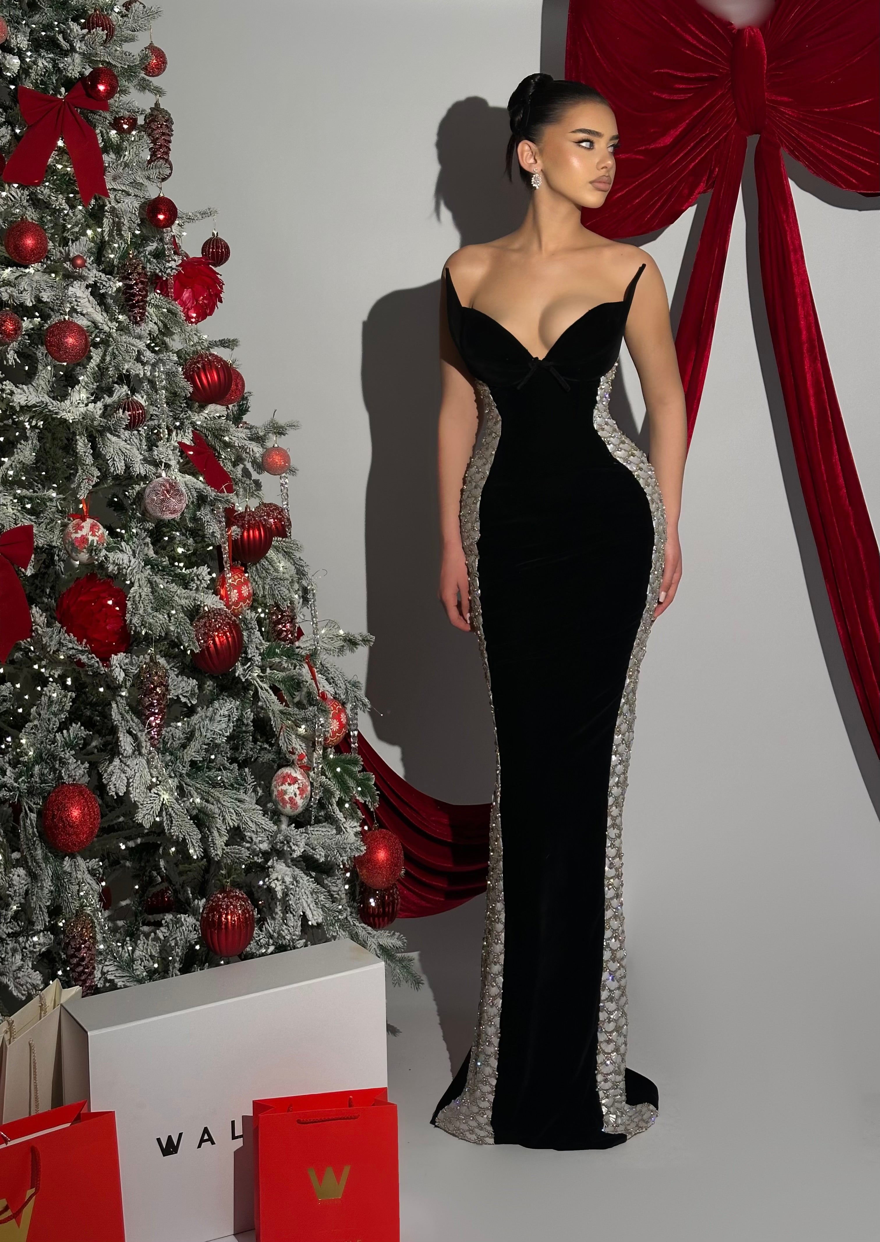 Noemie - Crystal Trimmed Black Gown