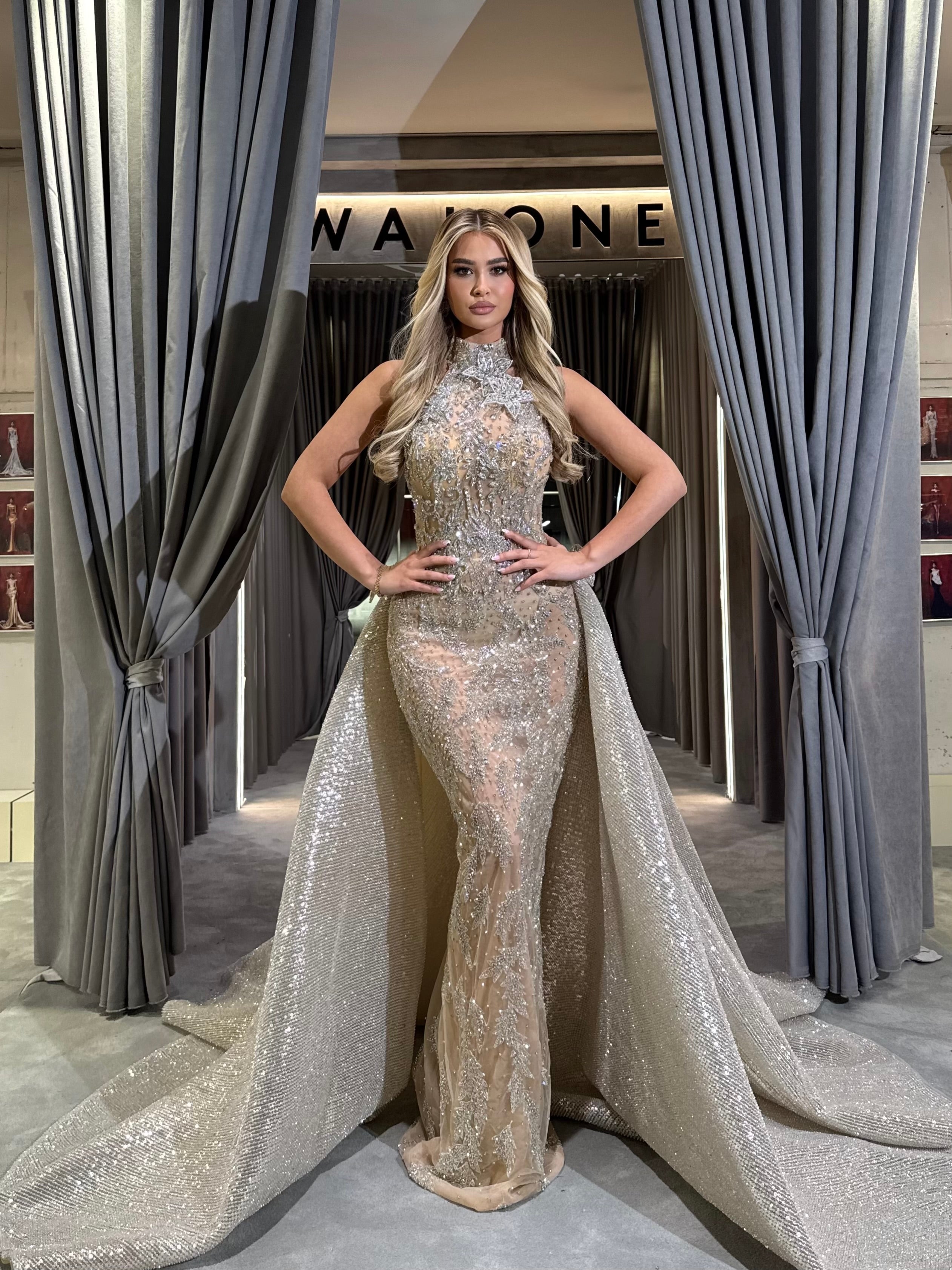 Silver Gown with Detachable Overskirt