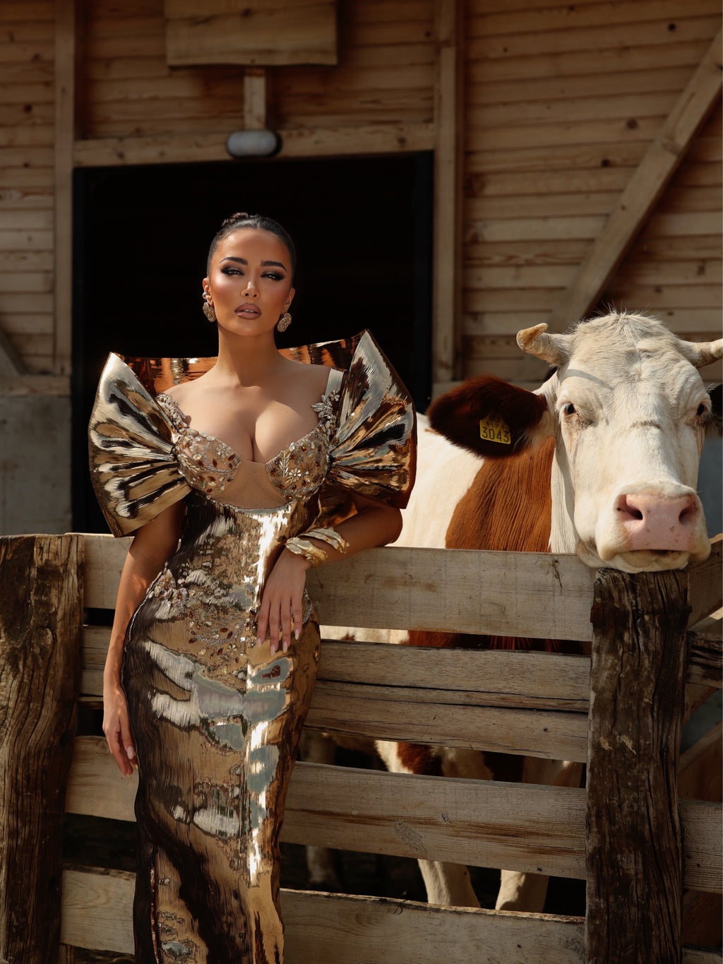 Daryna - Sculptural Mirror Corset Gown