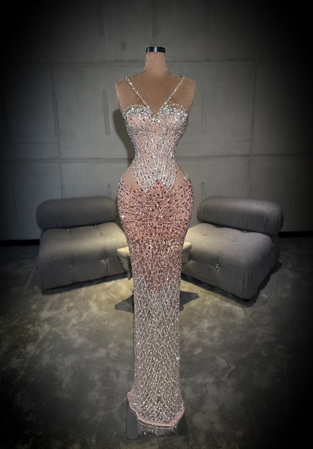 Ayana - Blush & Ice Embellished Dress