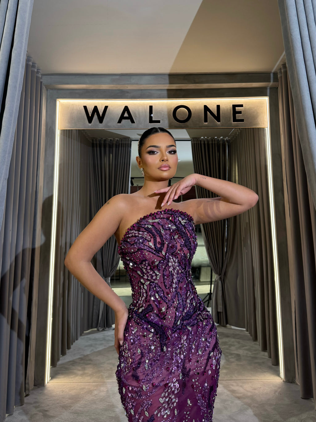 Deep Plum Embellished Mesh Gown