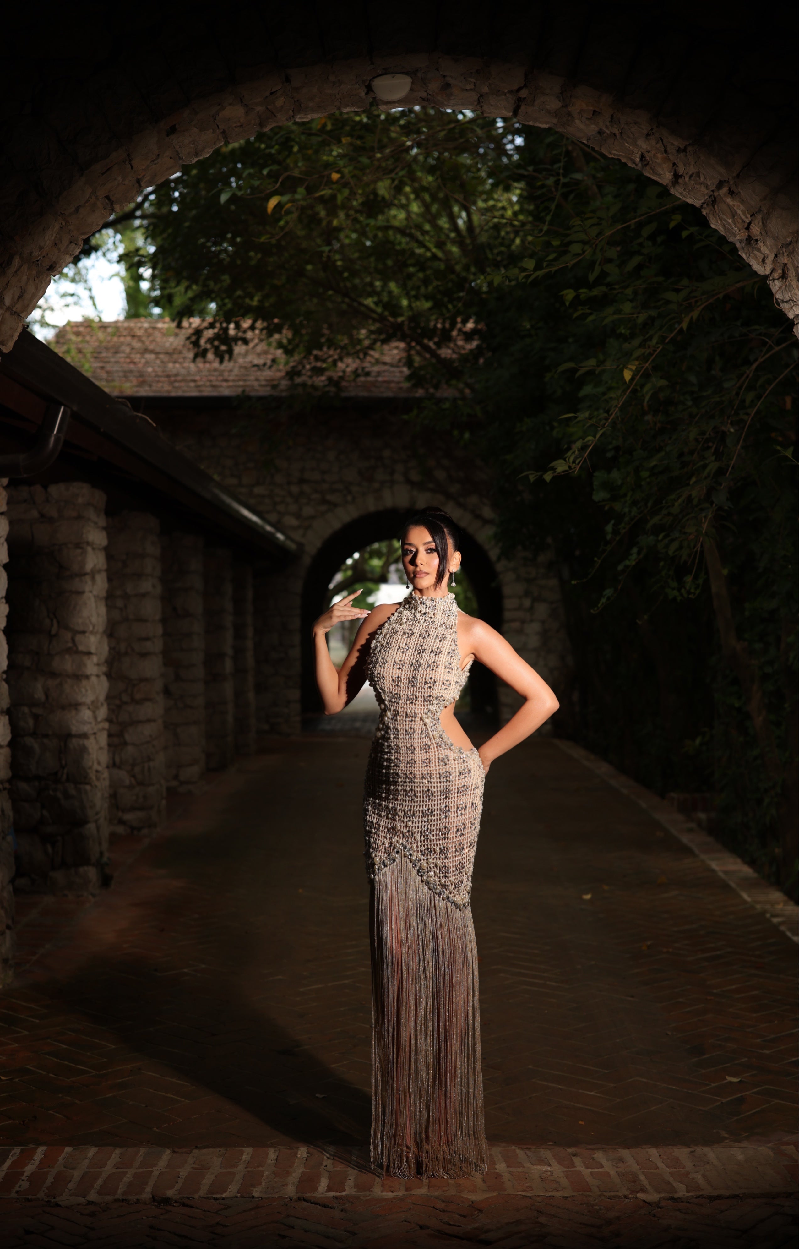 Armela - Crystal Fringe Backless Gown
