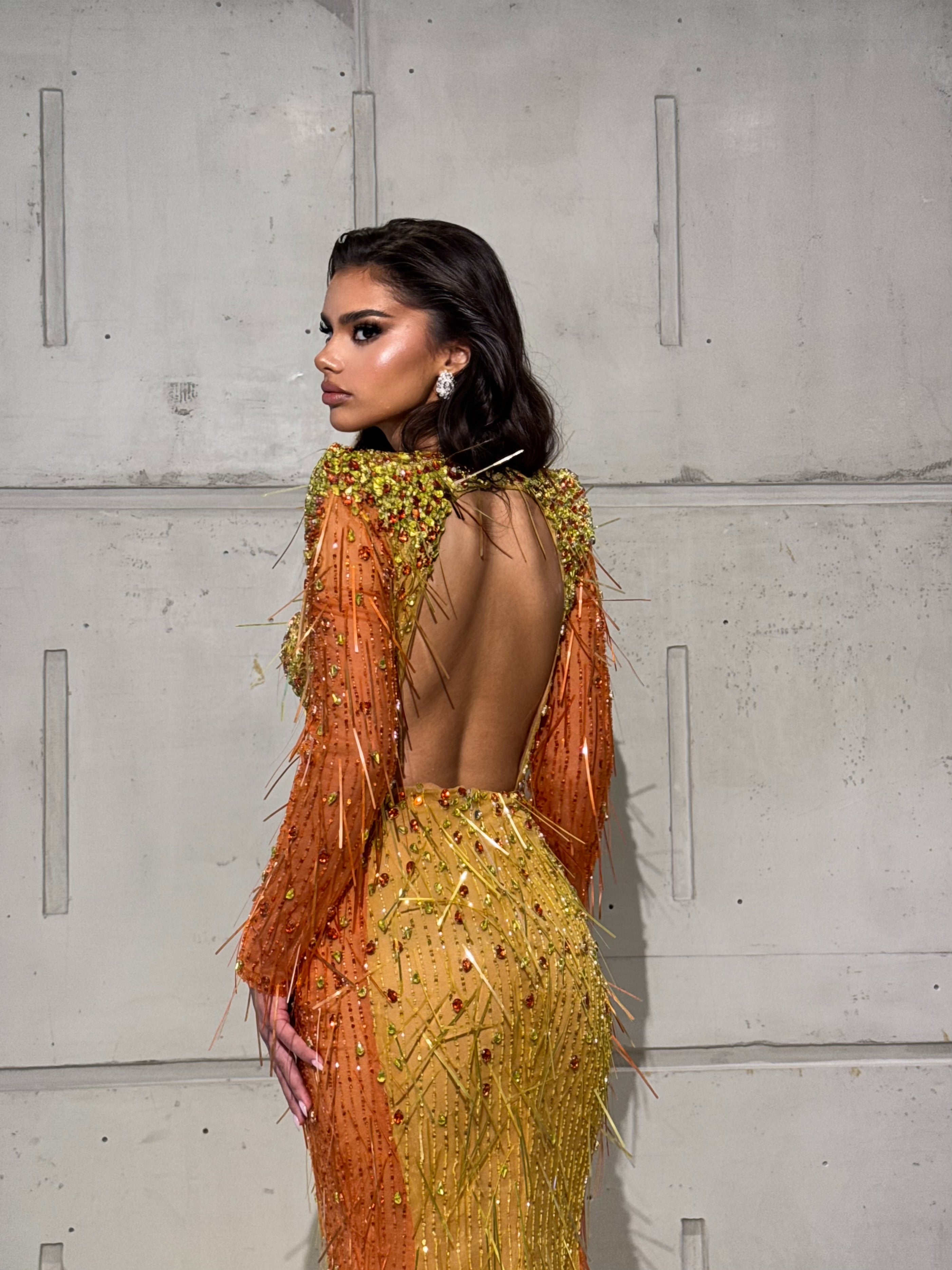 Beaded Gown with Cutout Corset and Fringe Sleeves