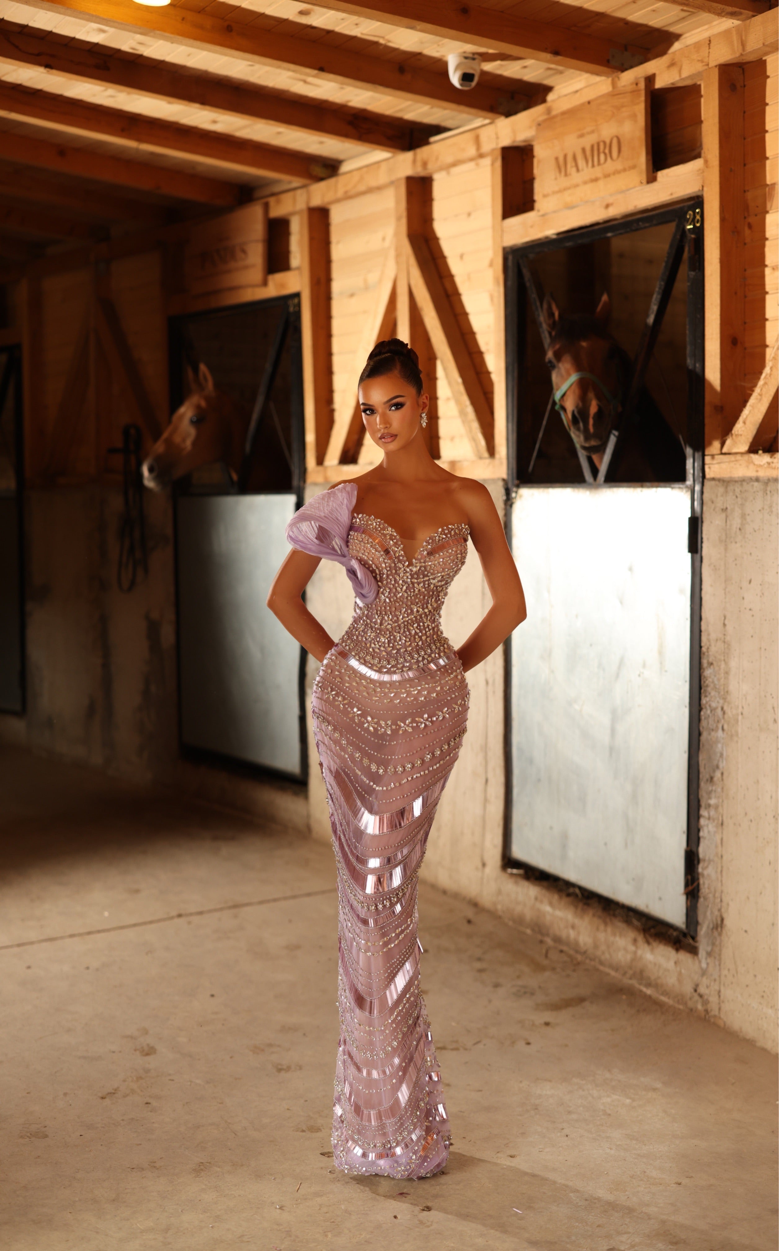 Migena - Crystal Mirror Mermaid Gown
