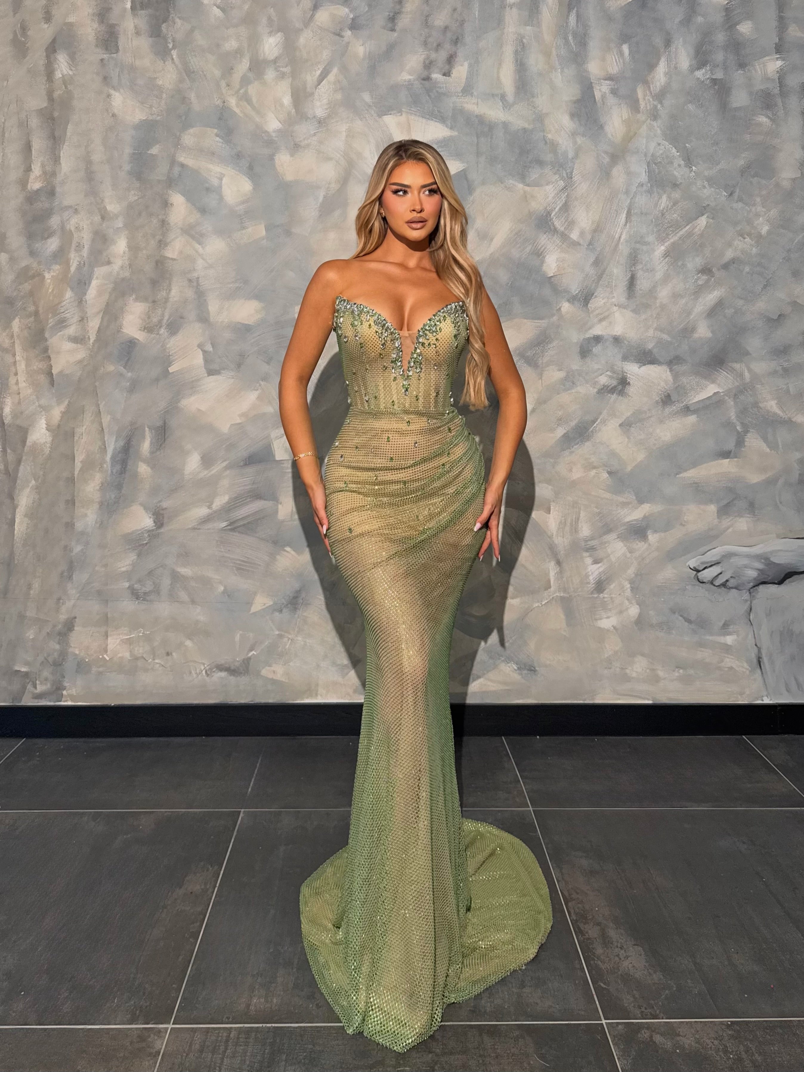 Elenia - Crystal Mesh Mermaid Gown