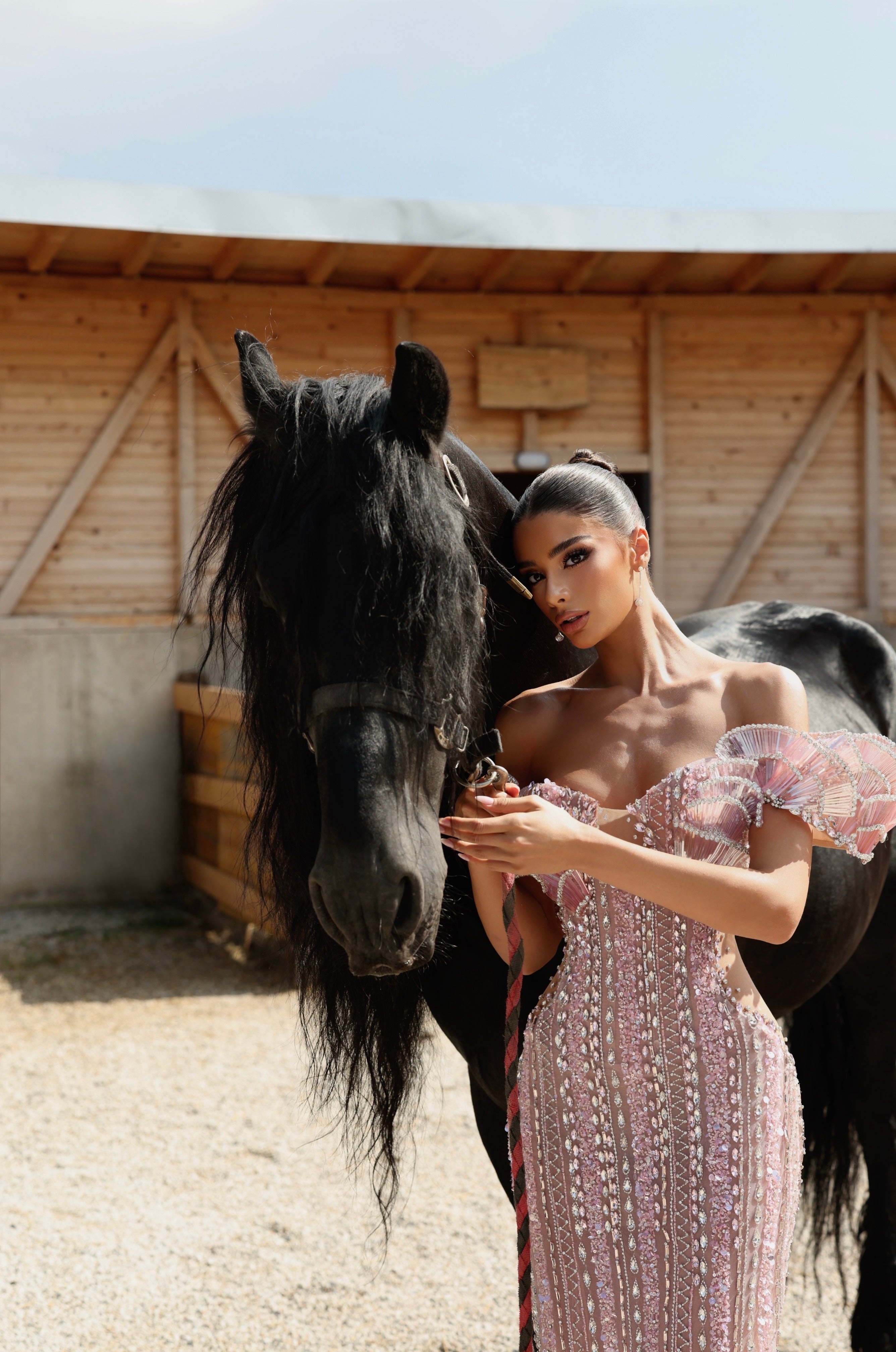 Nela - Off Shoulder Crystal Gown