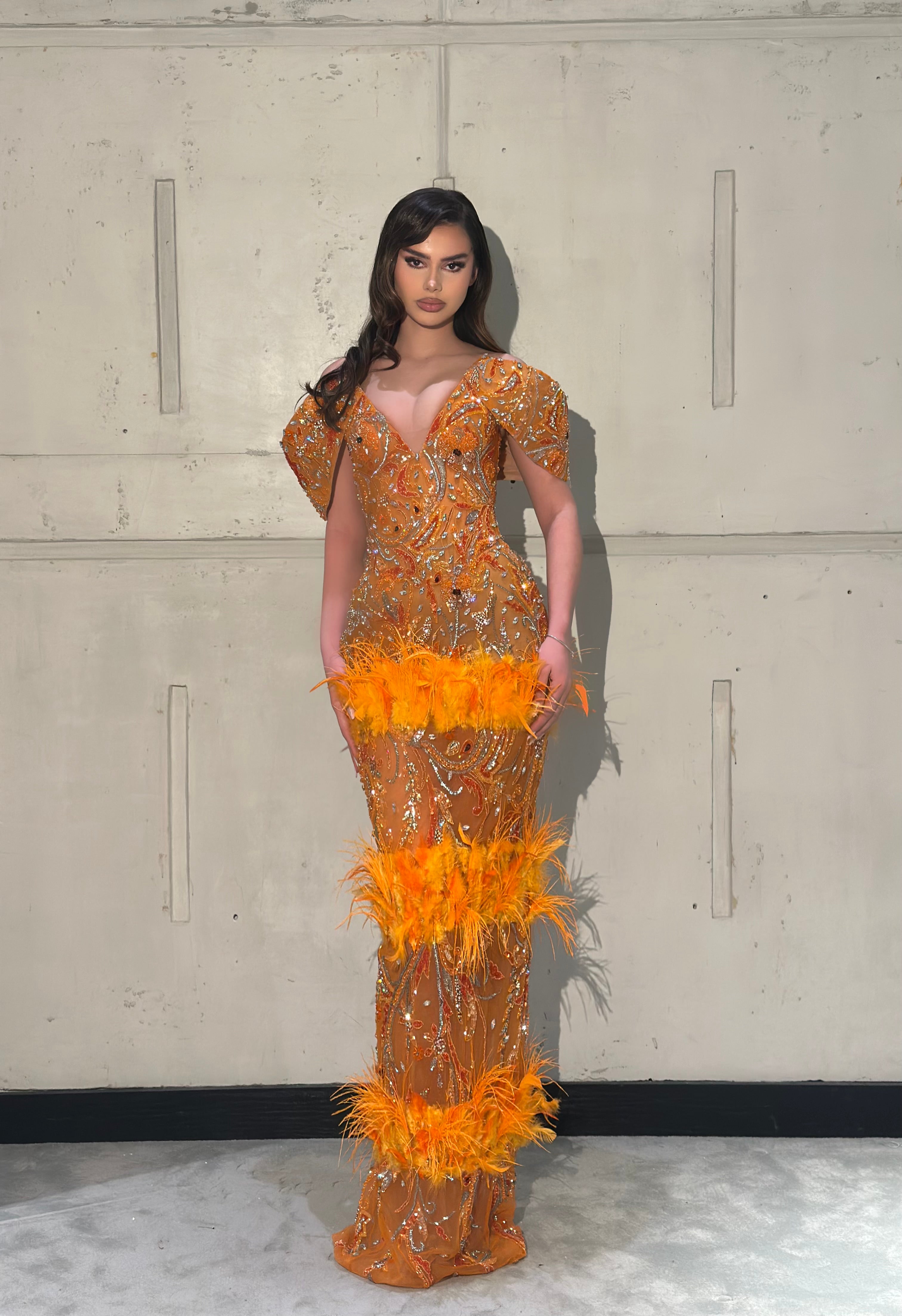 Caleya - Feather Crystal Embellished Gown