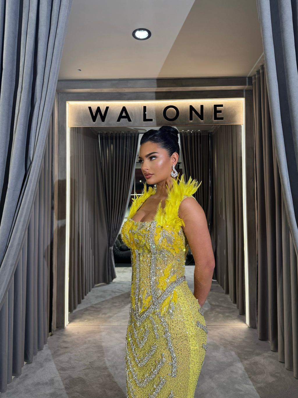 Beaded Corset Gown with Feather and Chevron Details