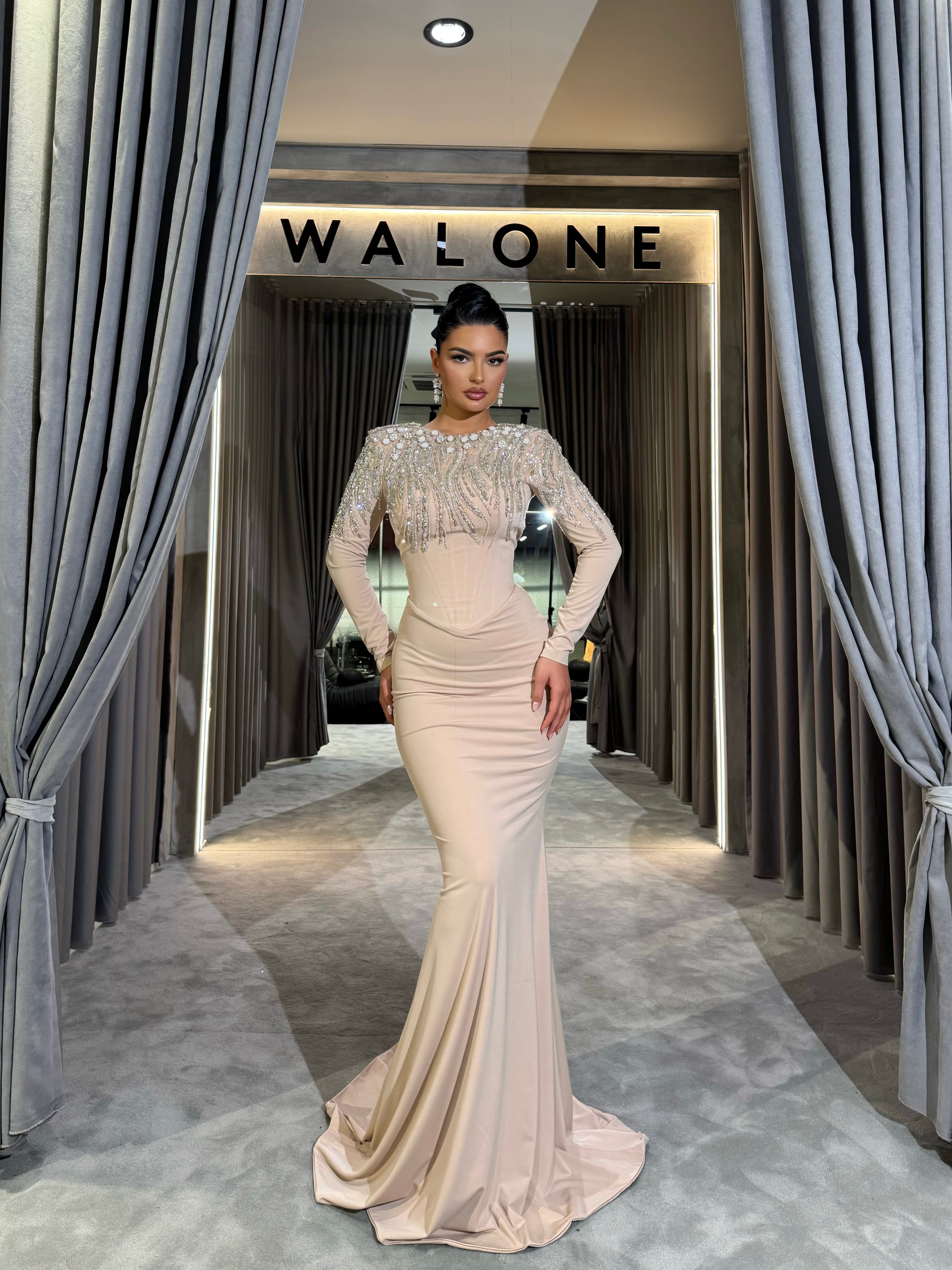 Full Sleeve Gown with Beaded Fringes