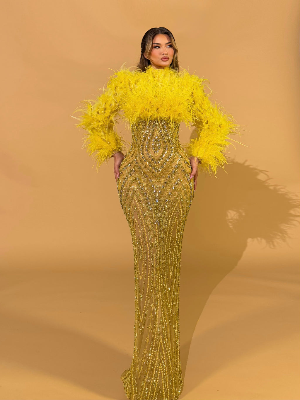 High Neck Feathered Crystal Gown