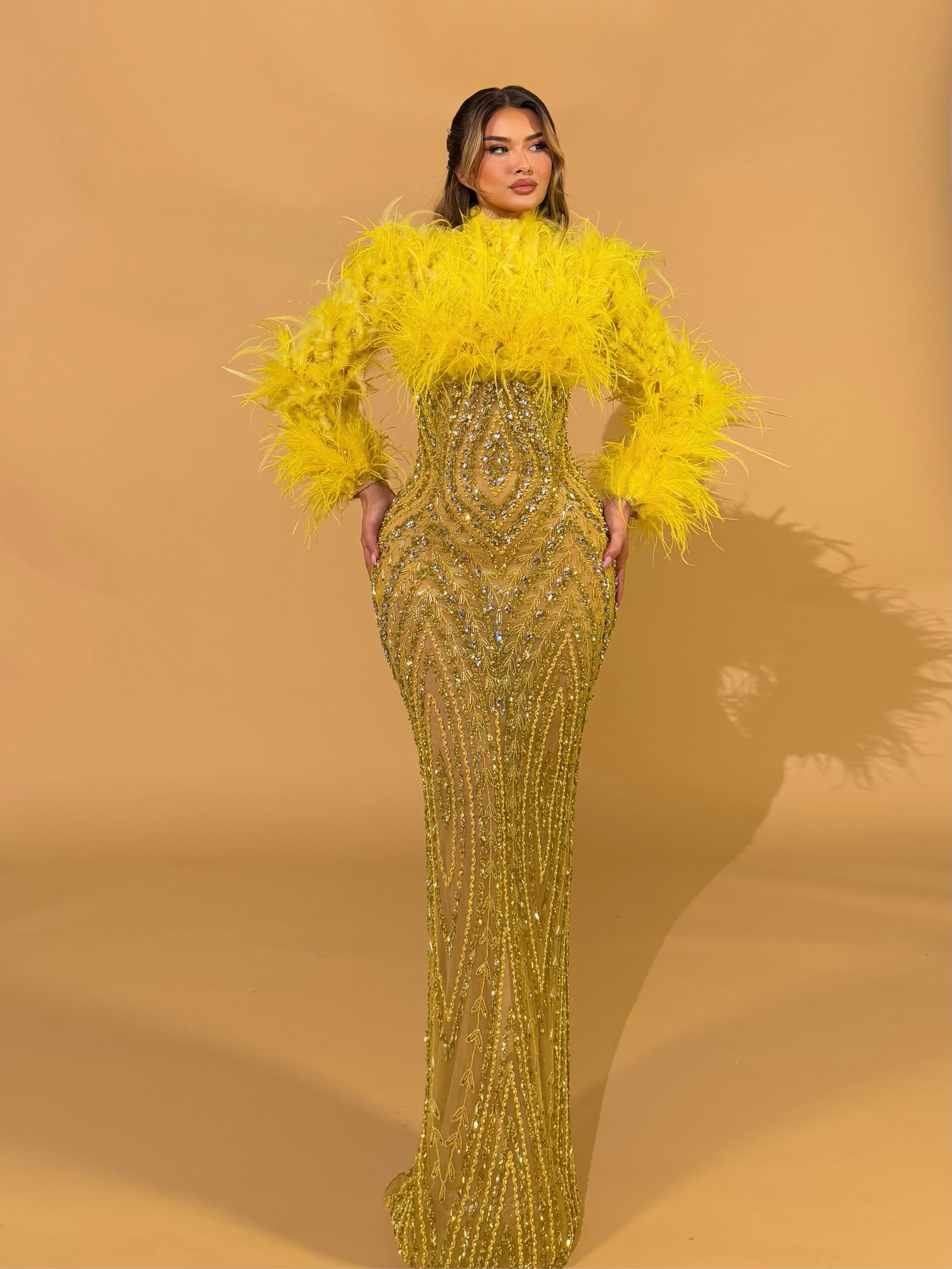 High Neck Feathered Crystal Gown