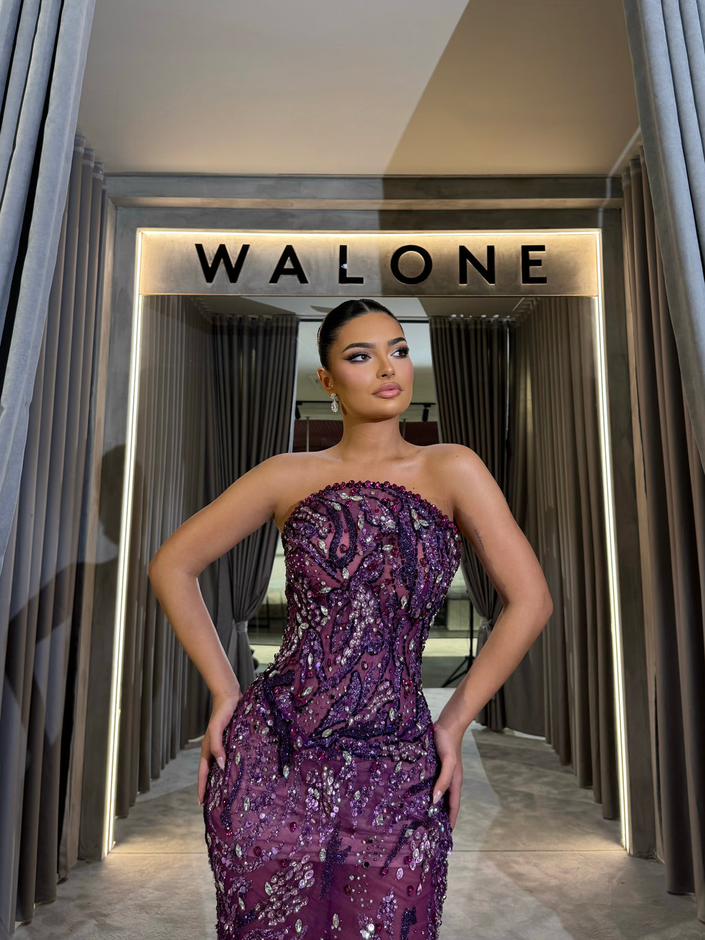 Deep Plum Embellished Mesh Gown