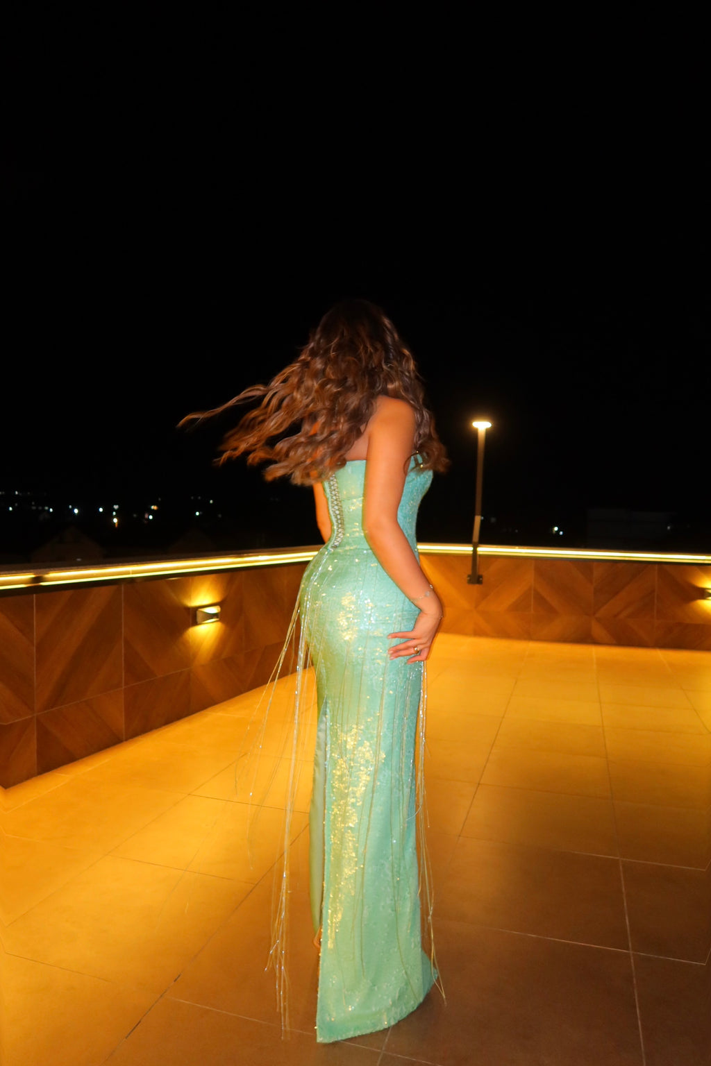 Luena - Fringe sequin gown