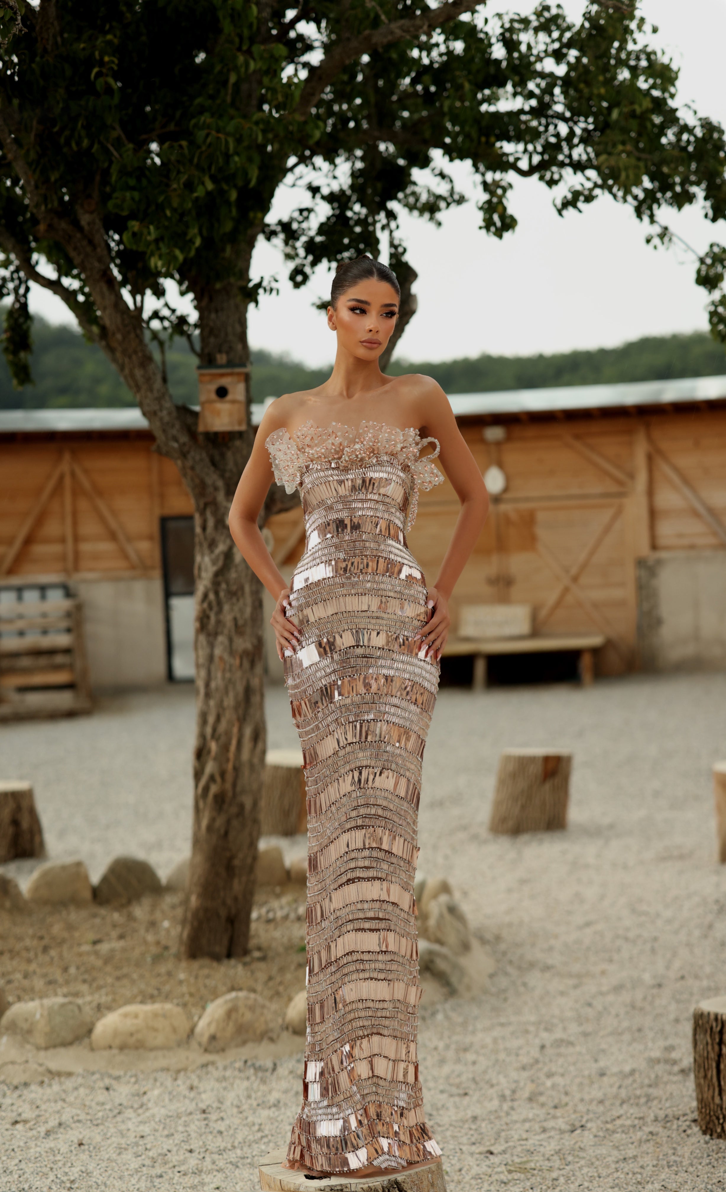 Medea - Crystal Bateau Gown