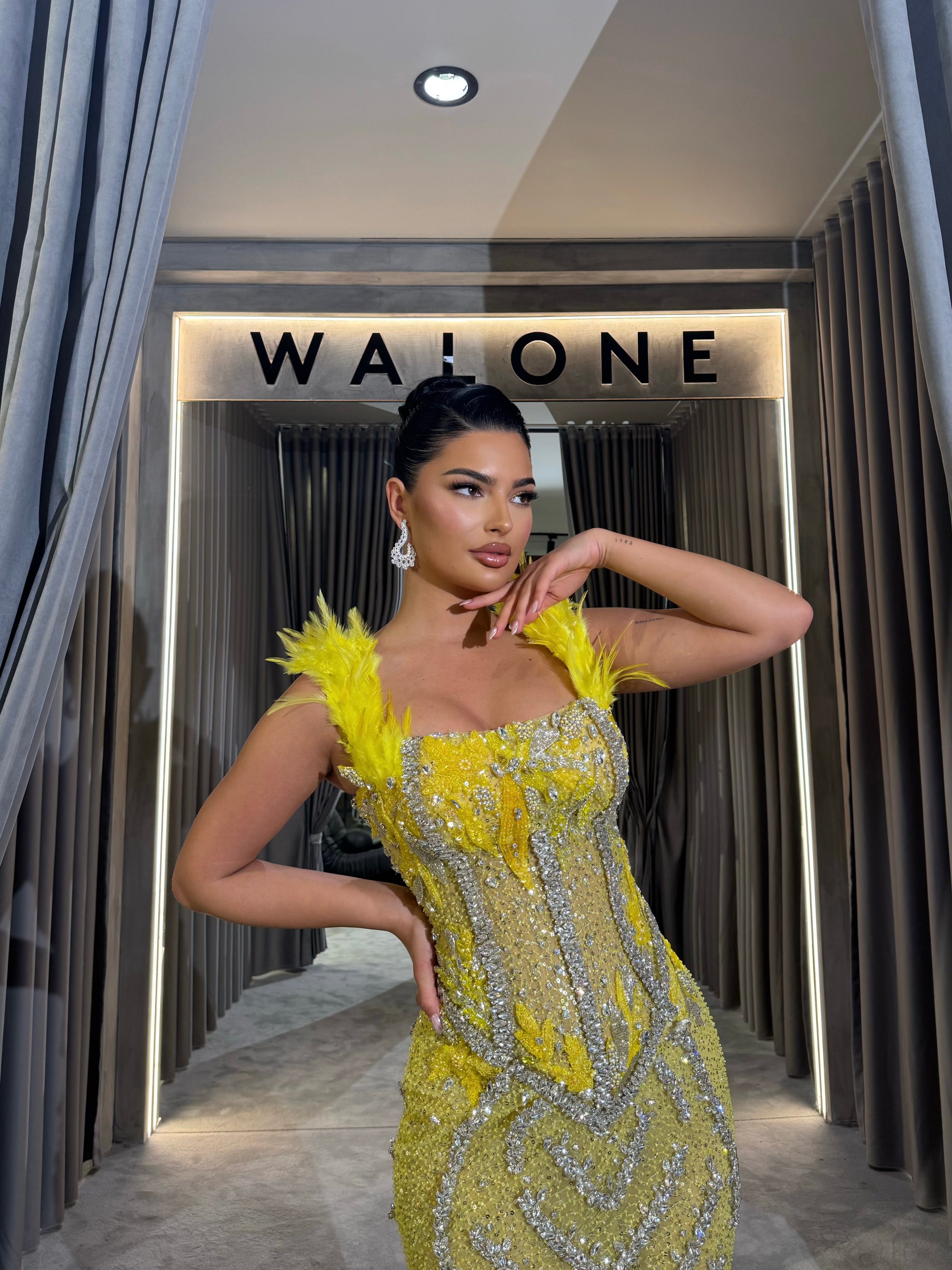 Beaded Corset Gown with Feather and Chevron Details