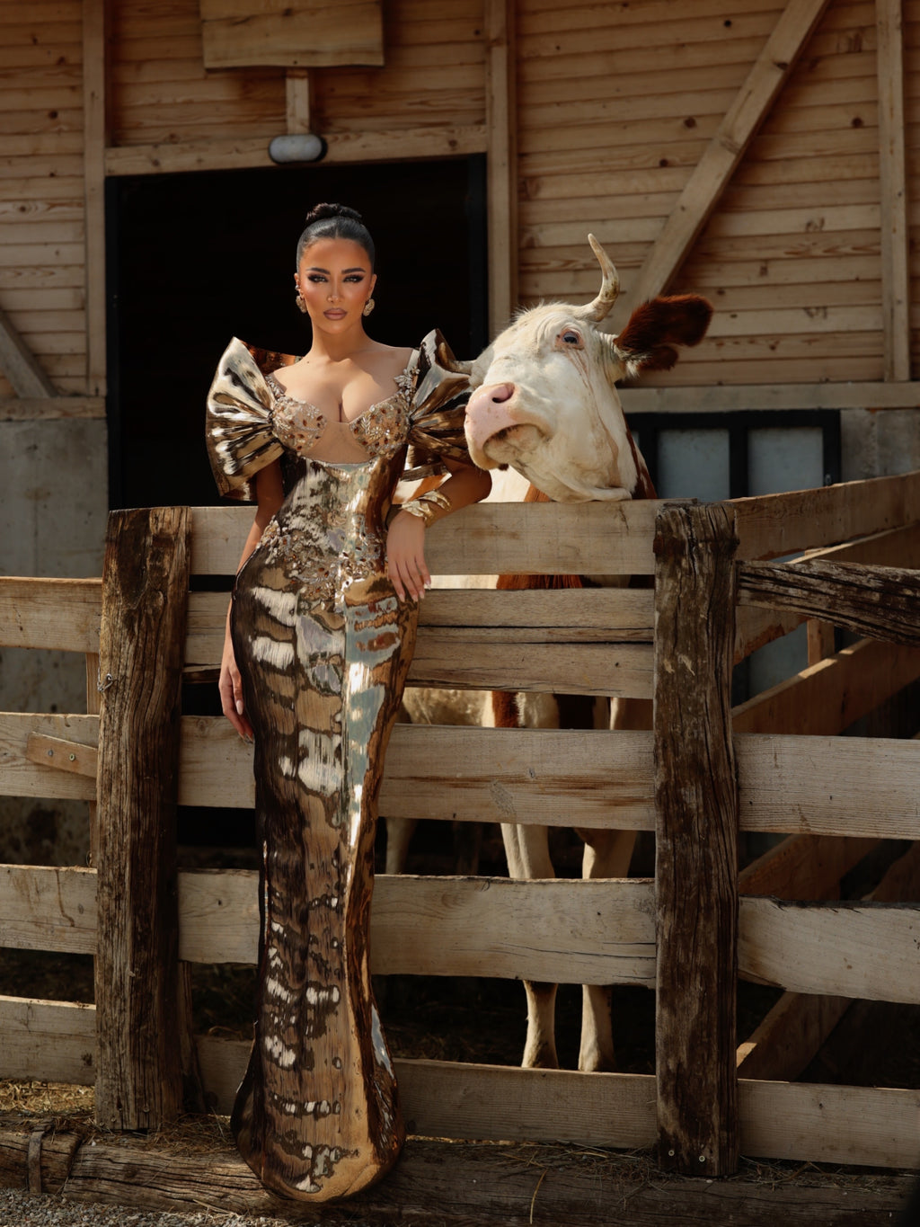 Daryna - Sculptural Mirror Corset Gown