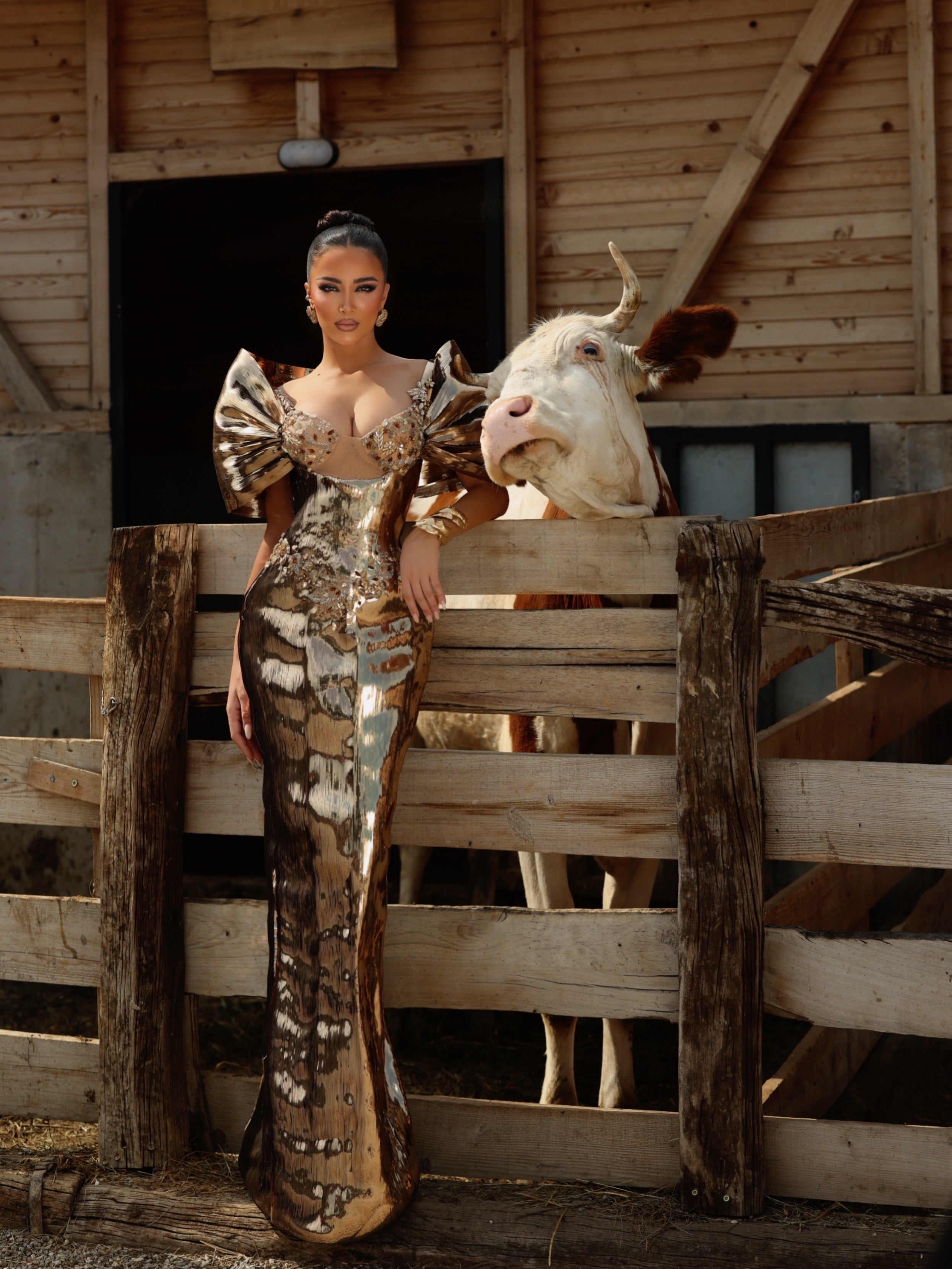 Daryna - Sculptural Mirror Corset Gown