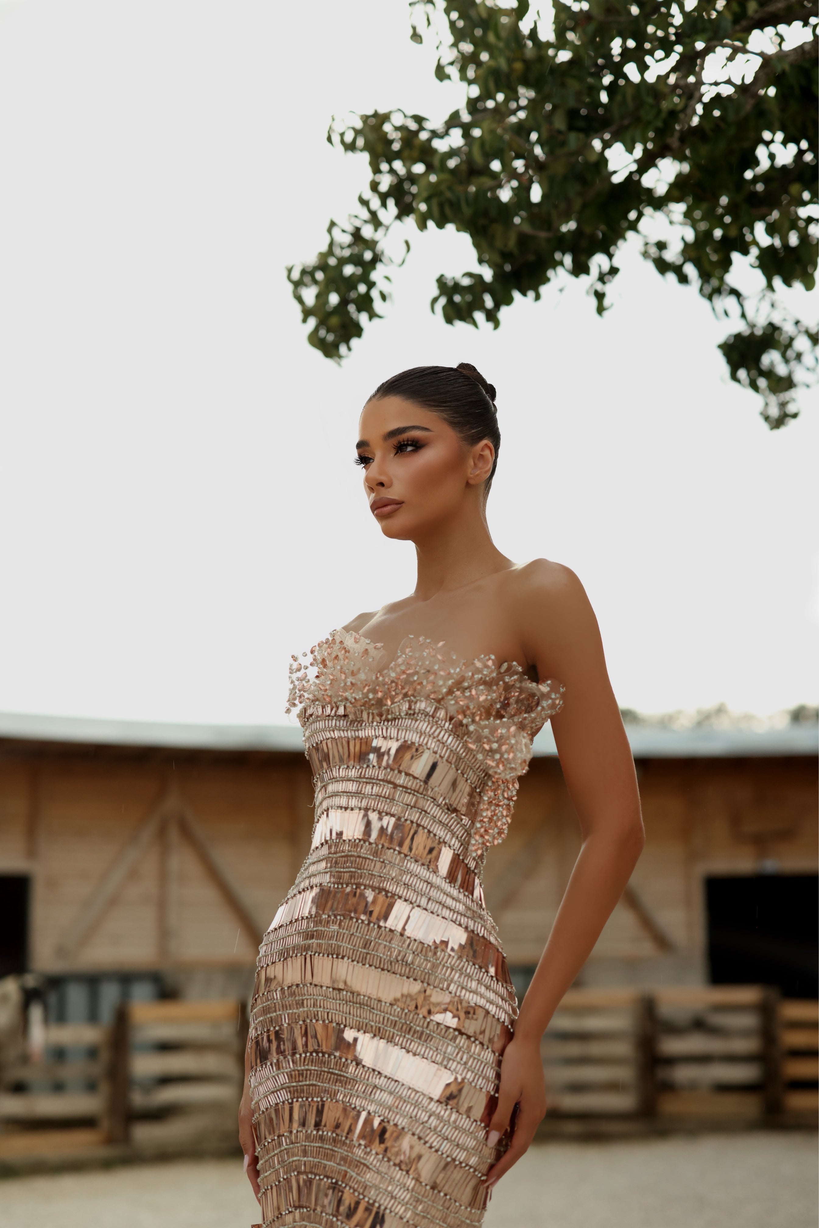 Medea - Crystal Bateau Gown