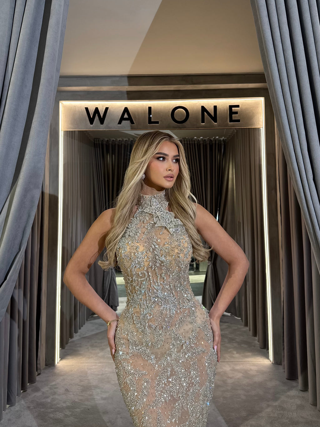 Silver Gown with Detachable Overskirt