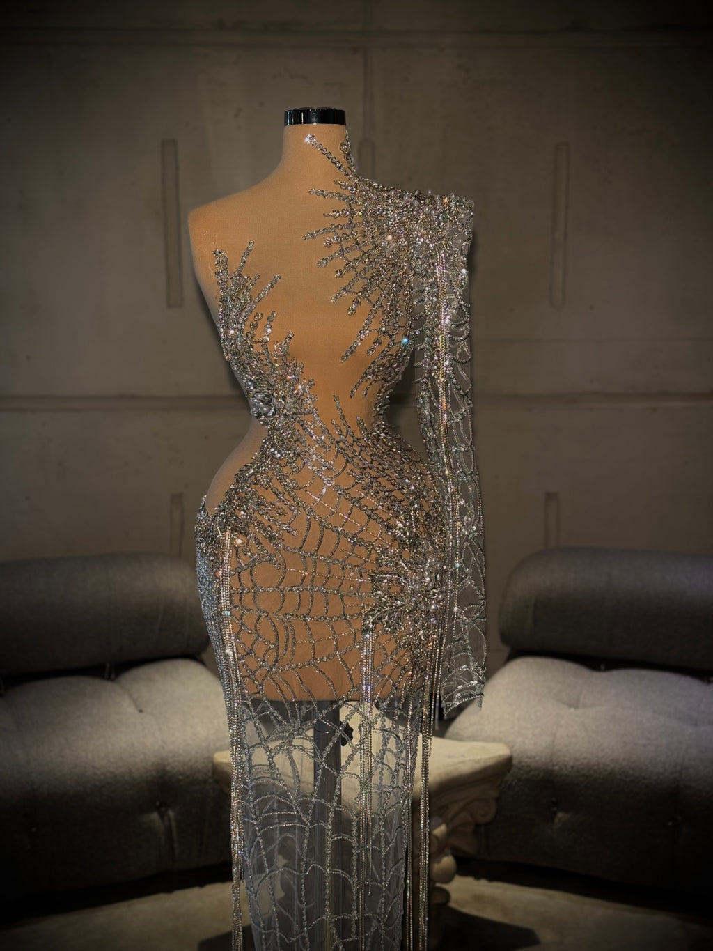 Lunaria - Silver mesh gown