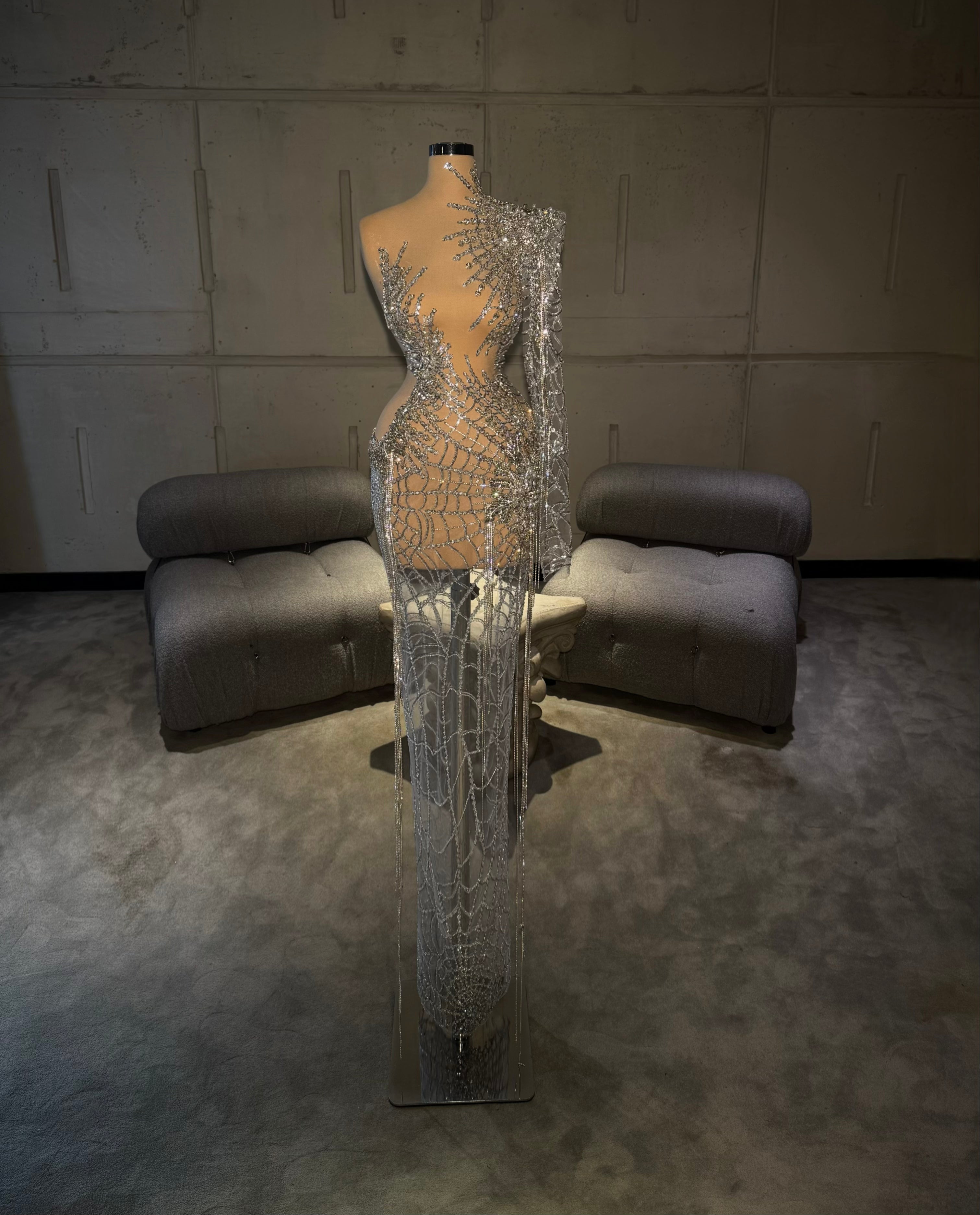 Lunaria - Silver mesh gown