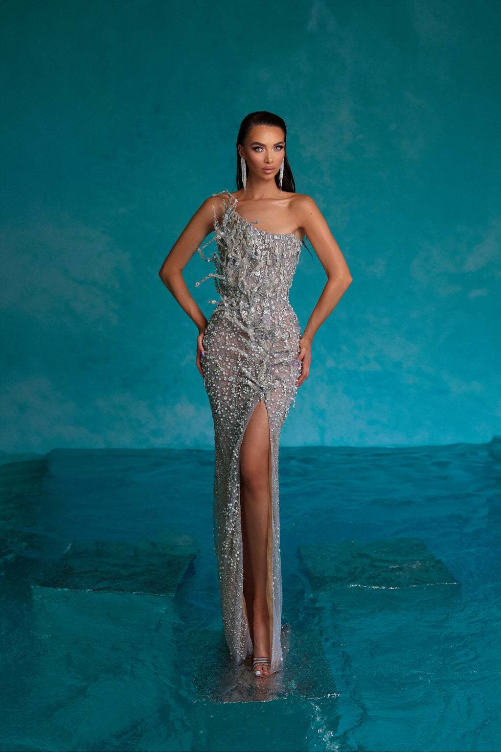 Silver Rhinestones Dress with 3D Details