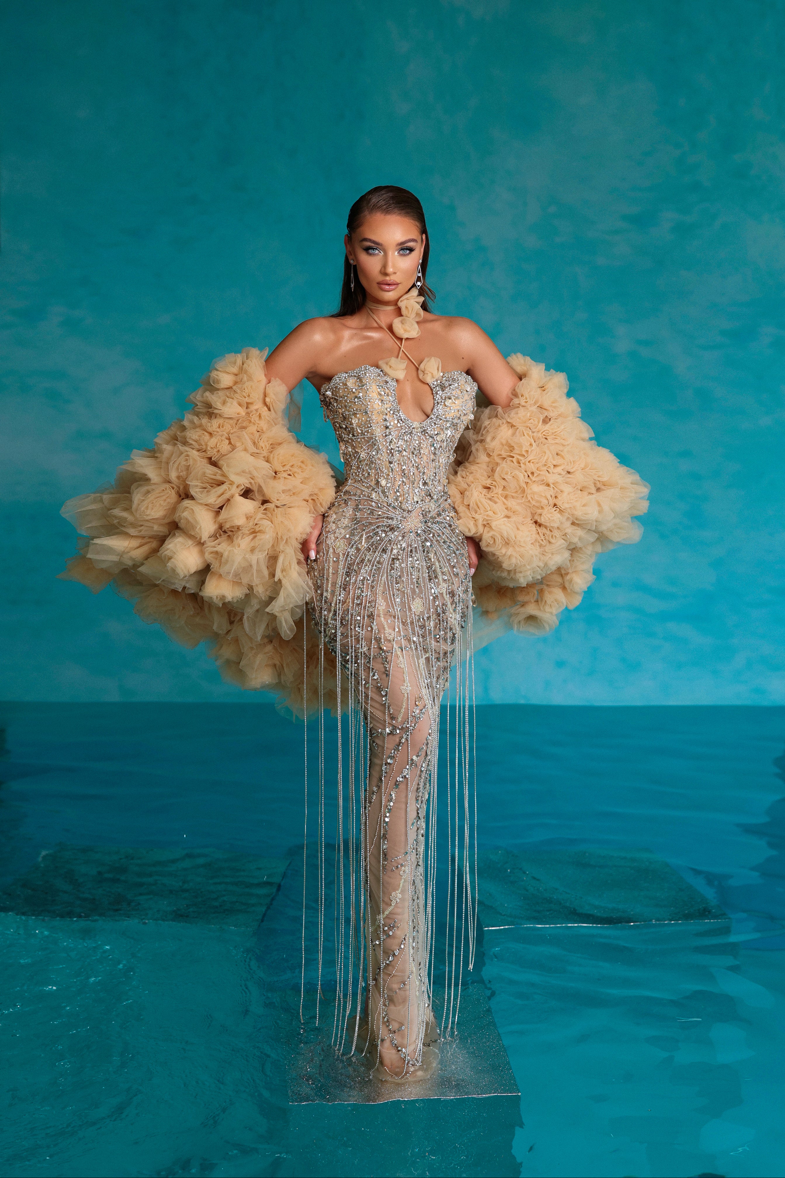 Silver Tassel Embellished Dress with Rose Beige Tulle Cape S Silver Tassel Embellished Dress with Rose Beige Tulle Cape S