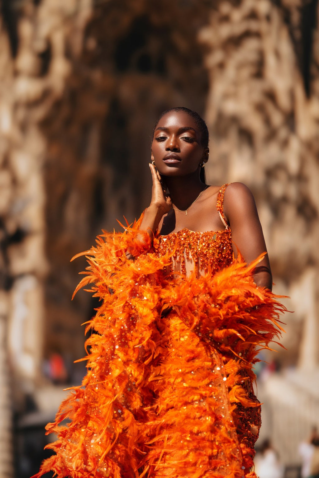 Orange Adorned Dress with Feathered Cape