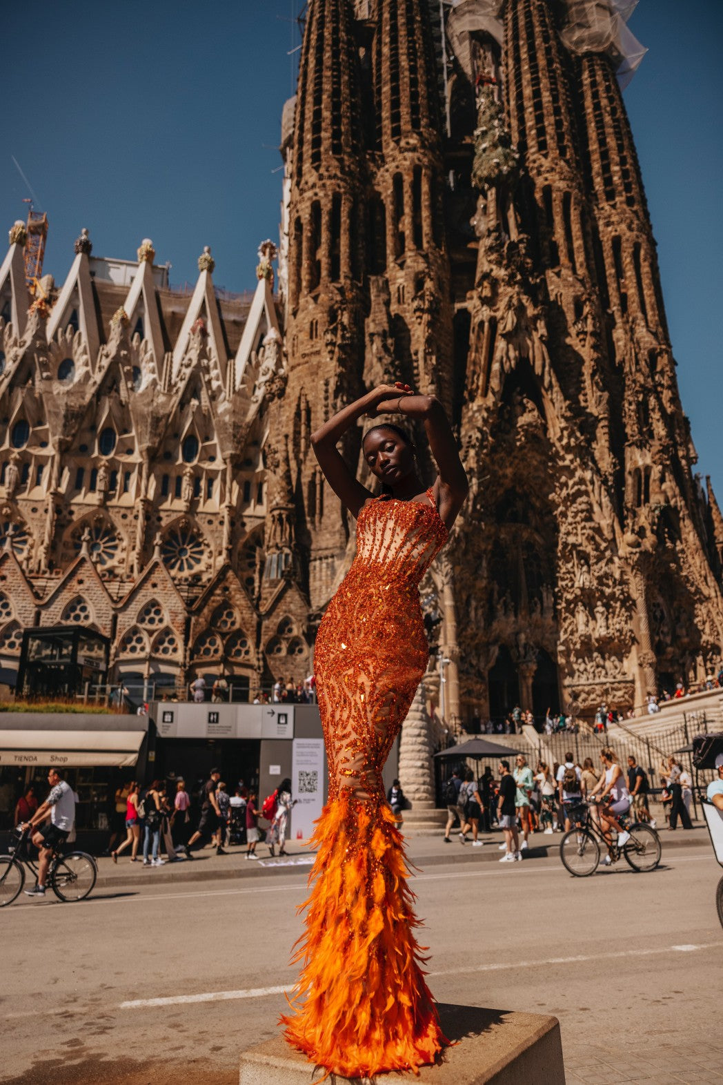Orange Adorned Dress with Feathered Cape