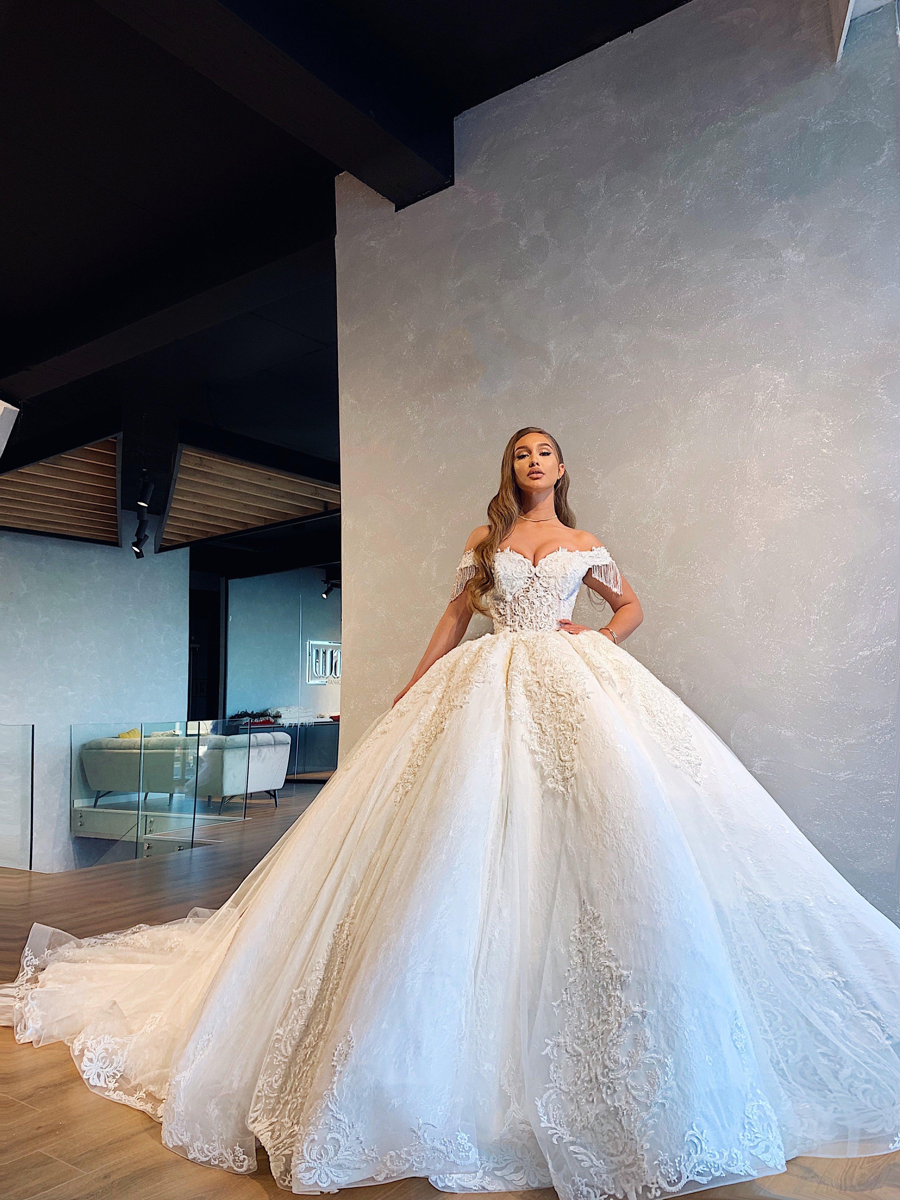 Off Shoulder Sleeves Lace Embroidered Gown