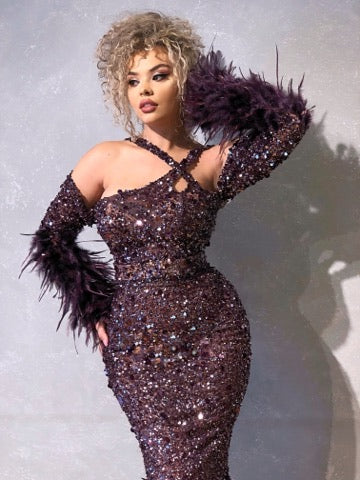 Feathered Sleeves Embroidered Dress