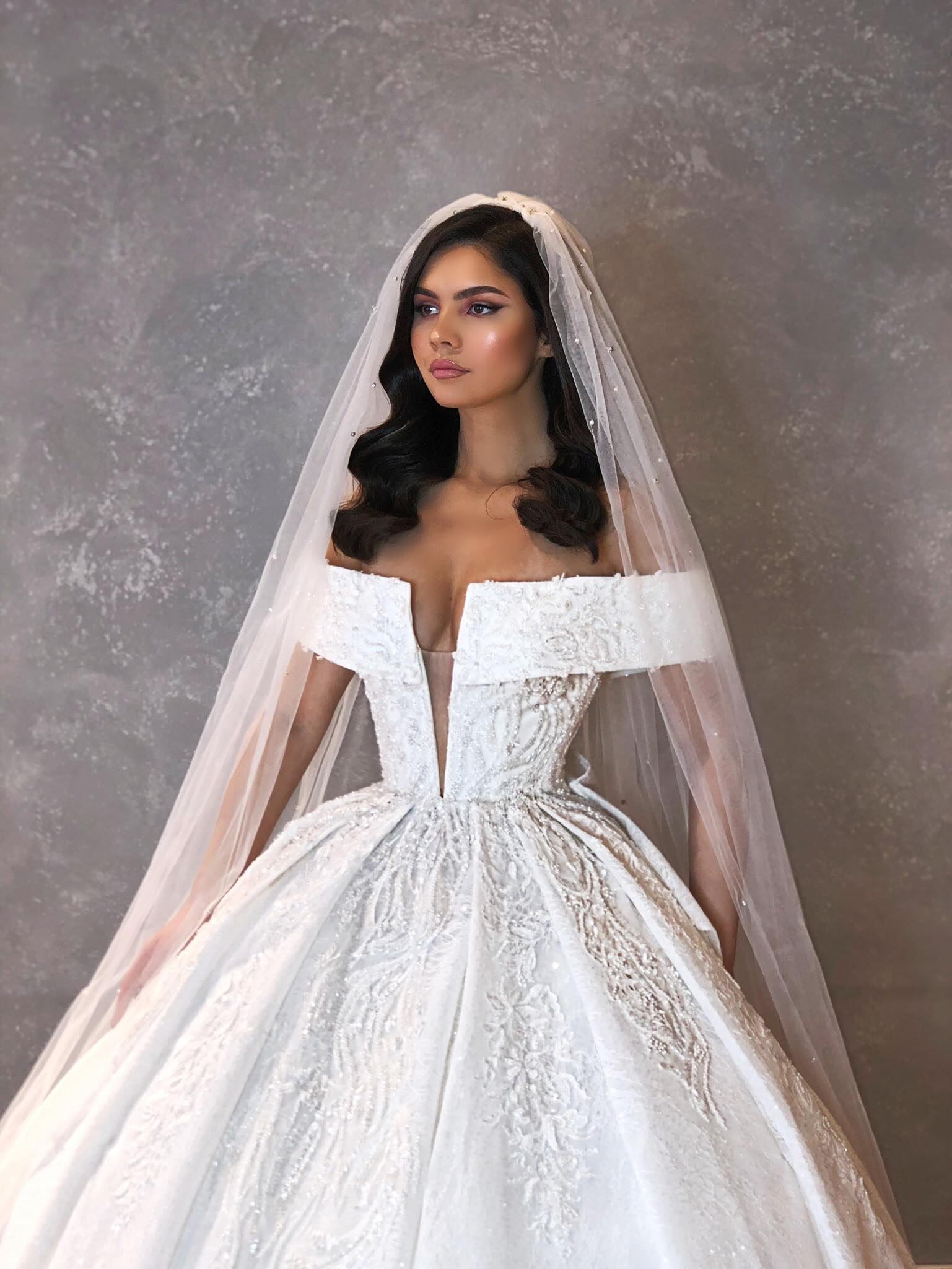 Off Shoulder Sleeves V Neckline Ball Gown with Veil